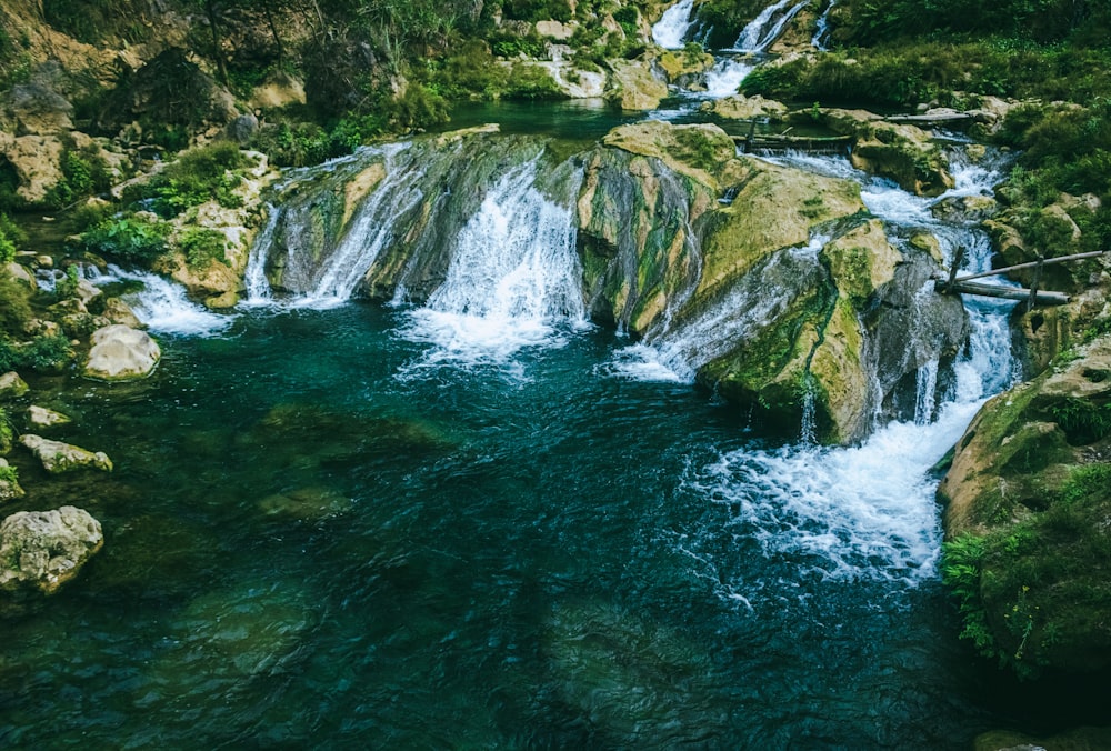 Foto Una pequeña cascada en medio de un bosque – Imagen Naturaleza gratis  en Unsplash