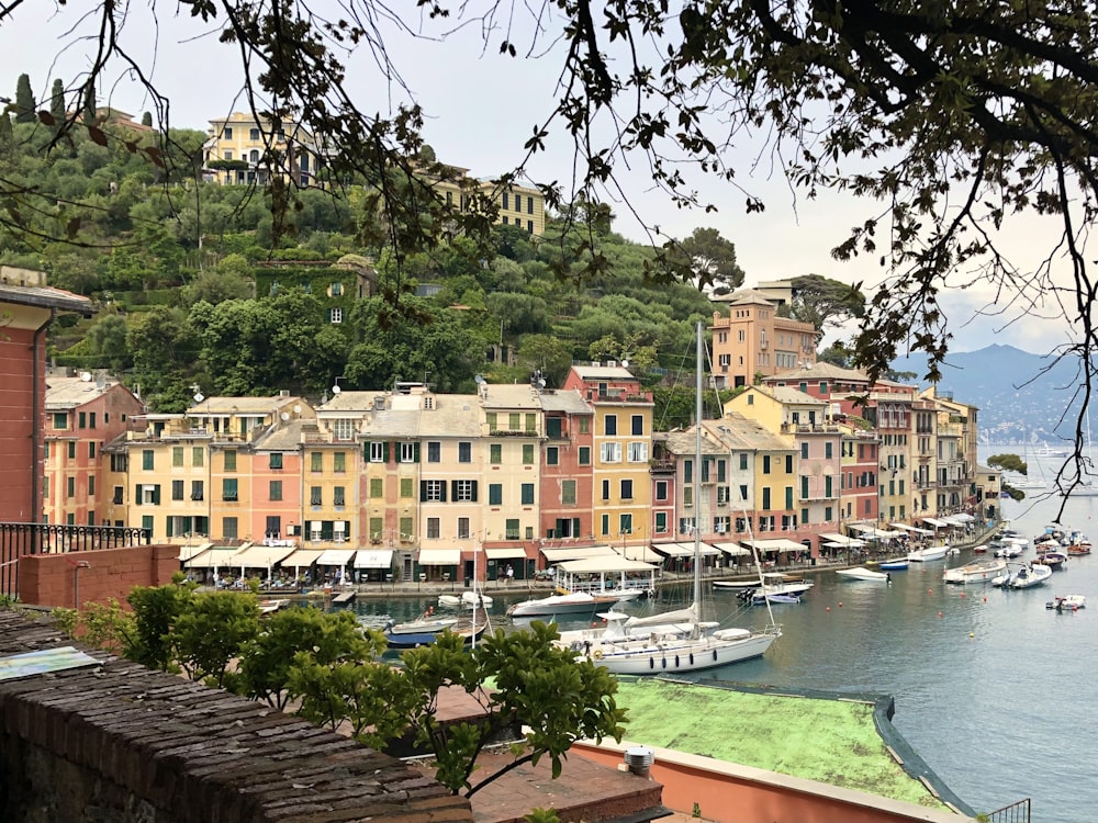 a harbor filled with lots of boats next to a lush green hillside