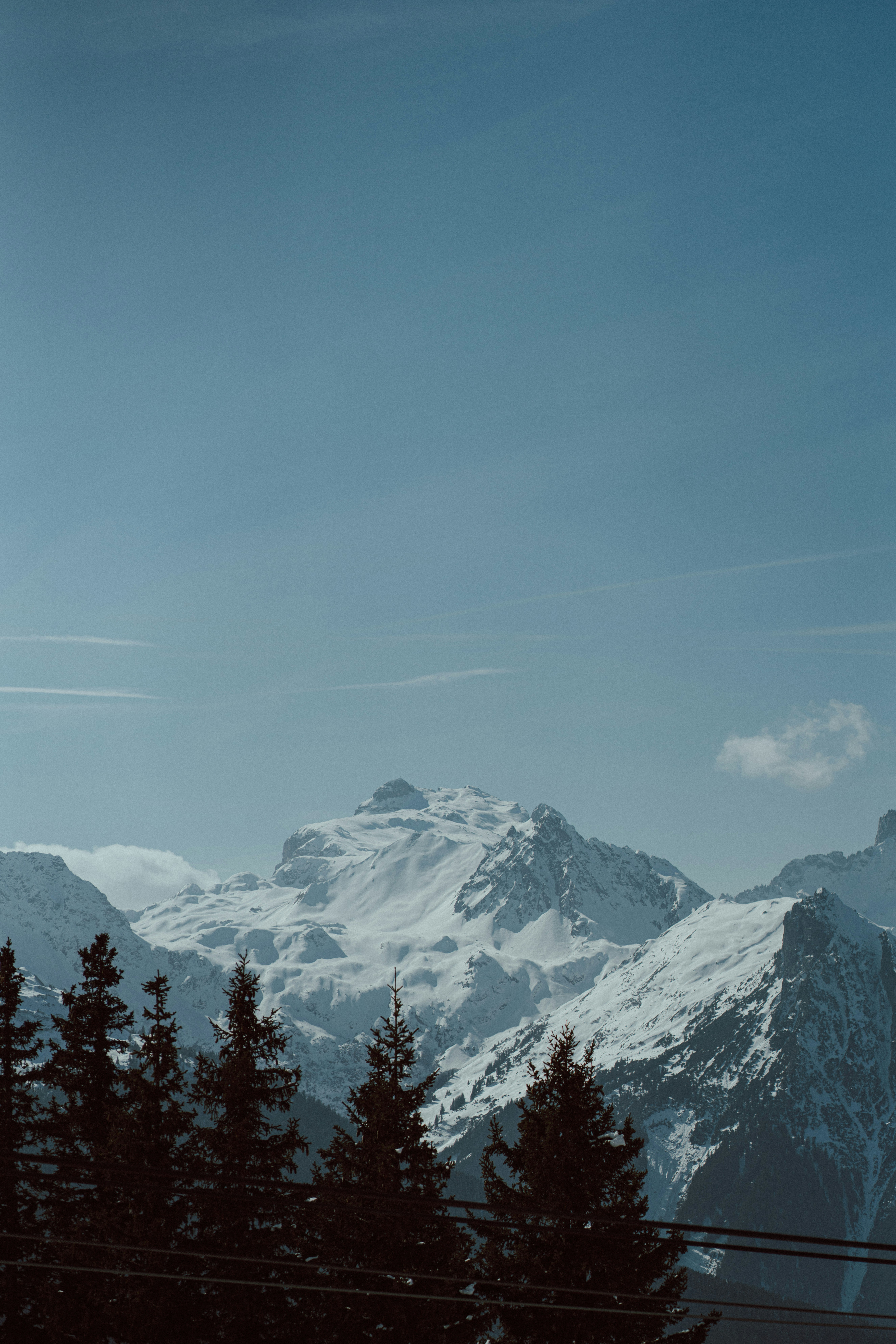 a view of a snowy mountain with trees in the foreground