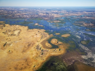A vast aerial view of a landscape showcasing a diverse mix of dry grassland and lush wetlands. The terrain is predominantly flat with patches of vegetation scattered across the scene. Vivid blue waterways meander through the land, creating a striking contrast with the golden-brown earth. The horizon stretches far into the distance, revealing more fields and water bodies.