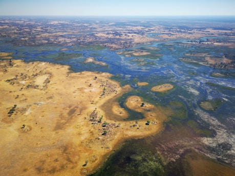 A vast aerial view of a landscape showcasing a diverse mix of dry grassland and lush wetlands. The terrain is predominantly flat with patches of vegetation scattered across the scene. Vivid blue waterways meander through the land, creating a striking contrast with the golden-brown earth. The horizon stretches far into the distance, revealing more fields and water bodies.