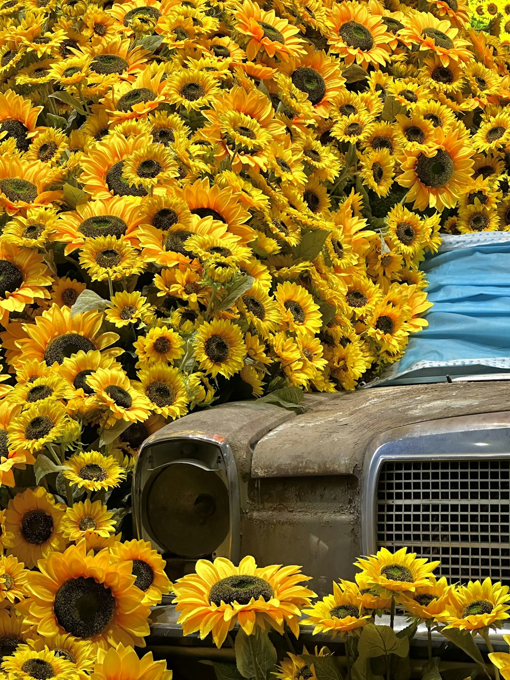 Foto zum Thema Ein altes Auto in einem Sonnenblumenfeld – Kostenloses Bild  zu Sonnenblume auf Unsplash