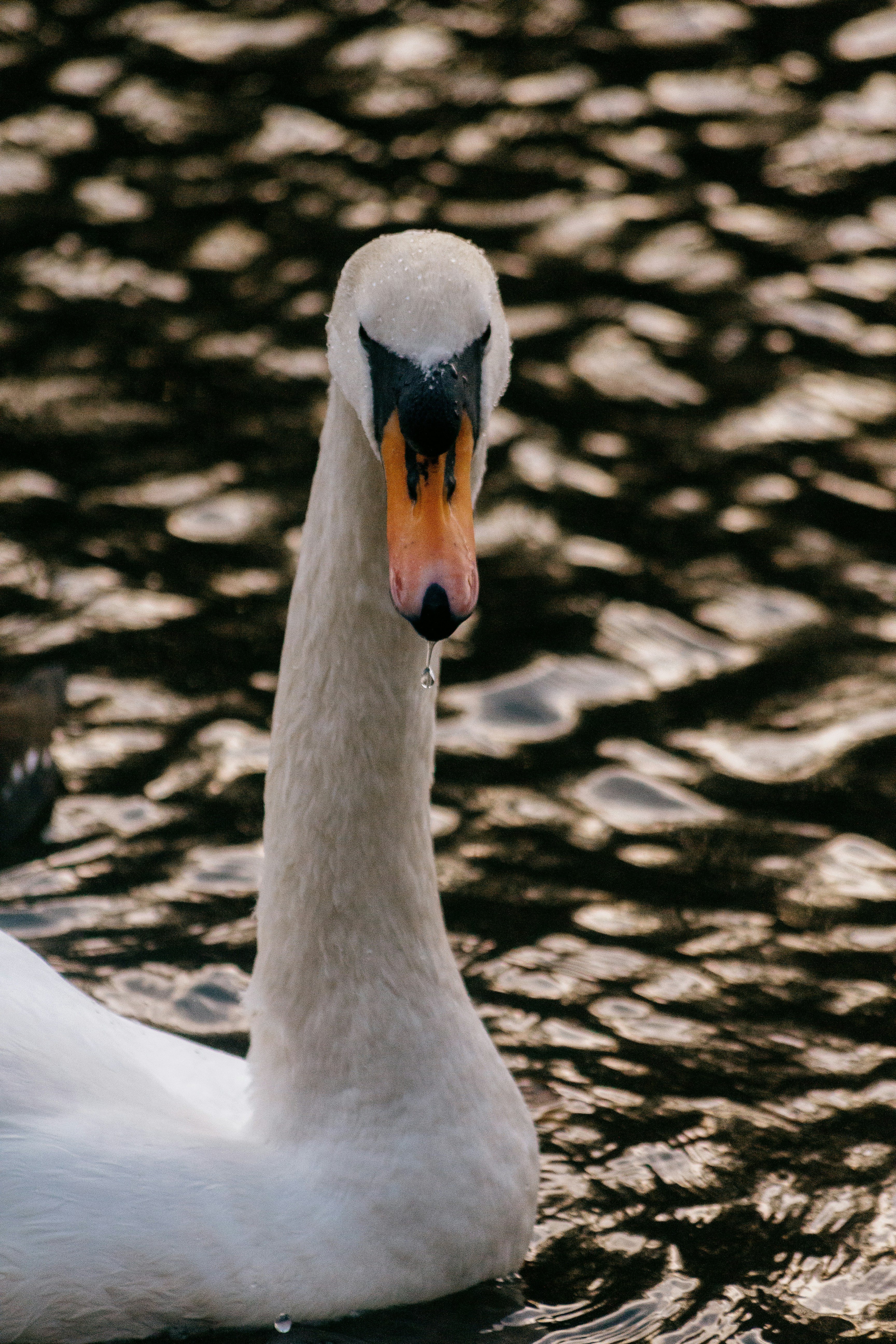 Photo by bfenton_photo