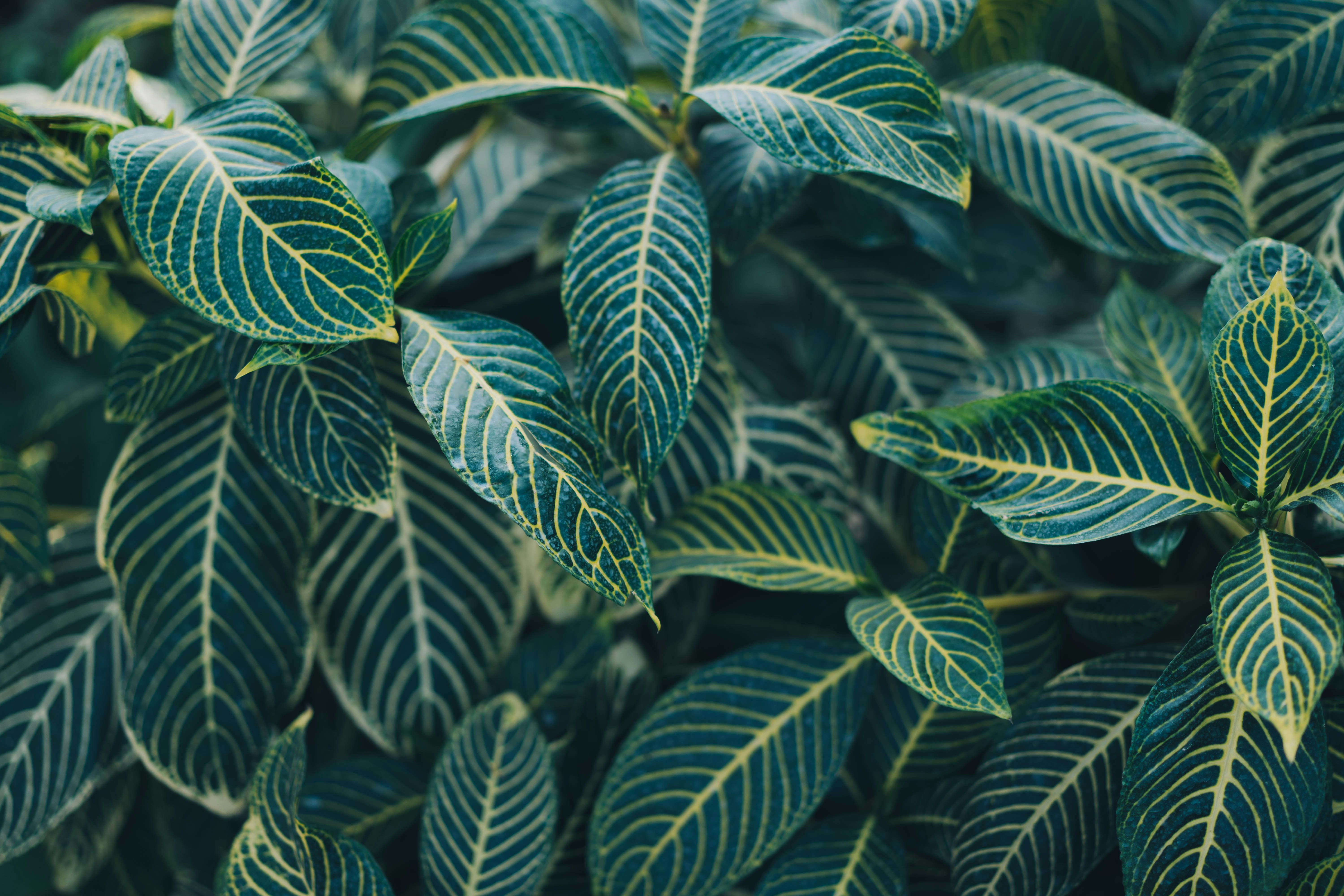 Photo by apricot_tart