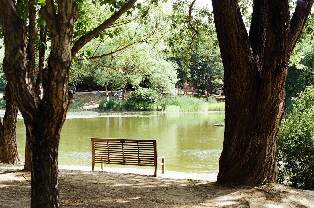 a park bench sitting next to a lake surrounded by trees