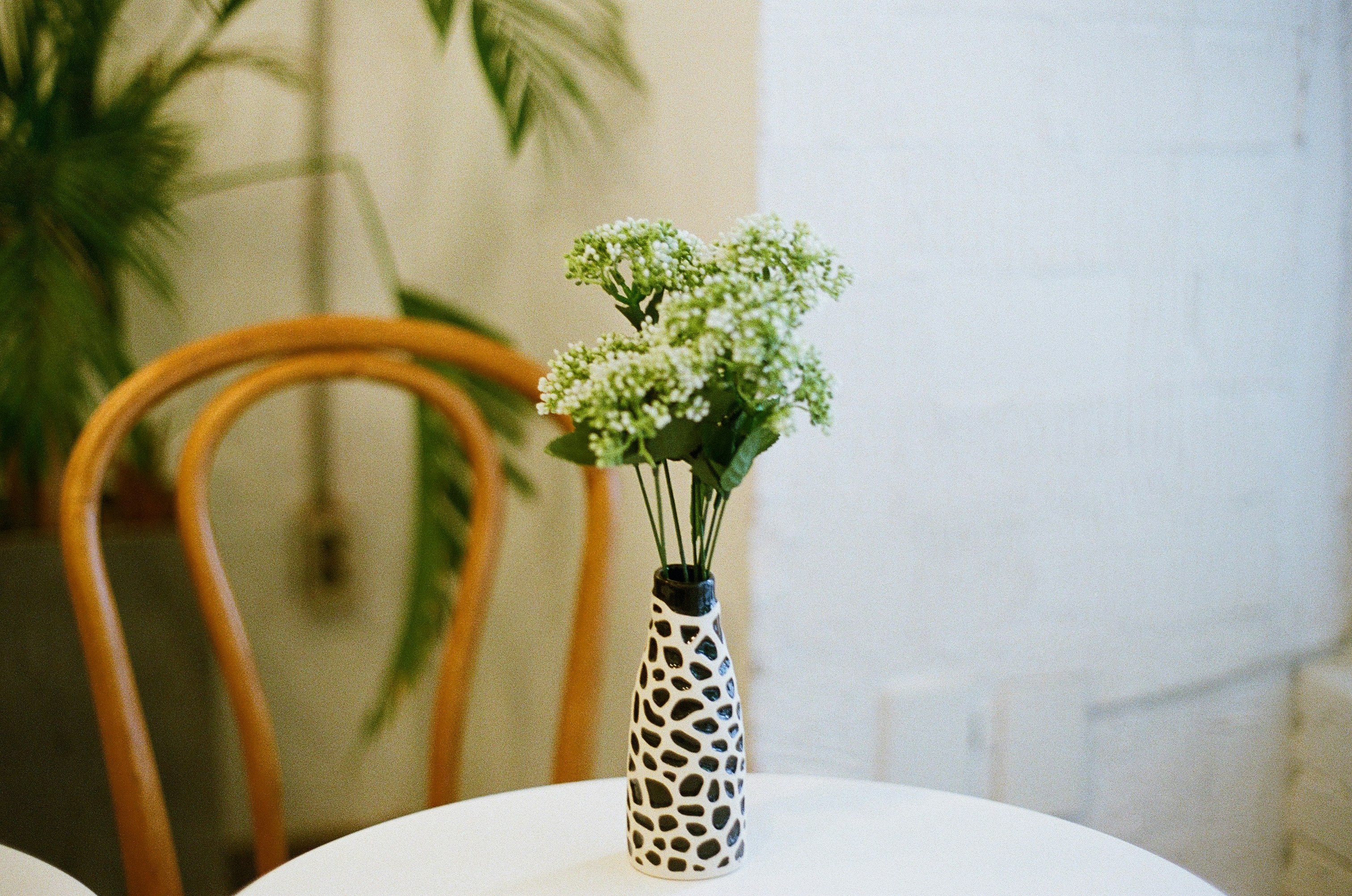 Elegant Ceramic Vase