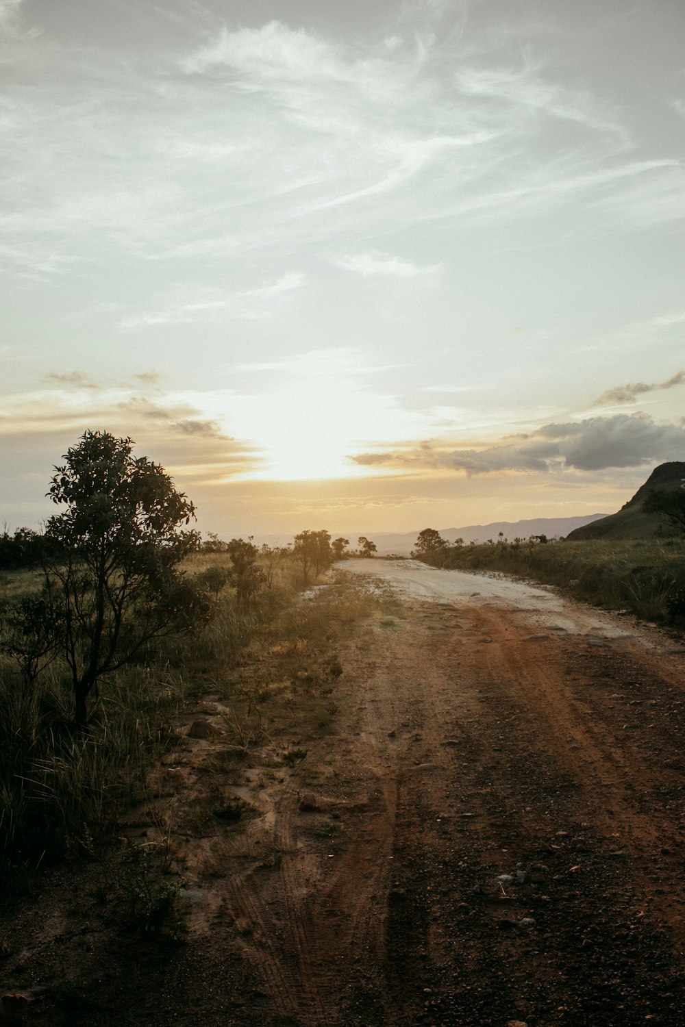 a dirt road in the middle of a field