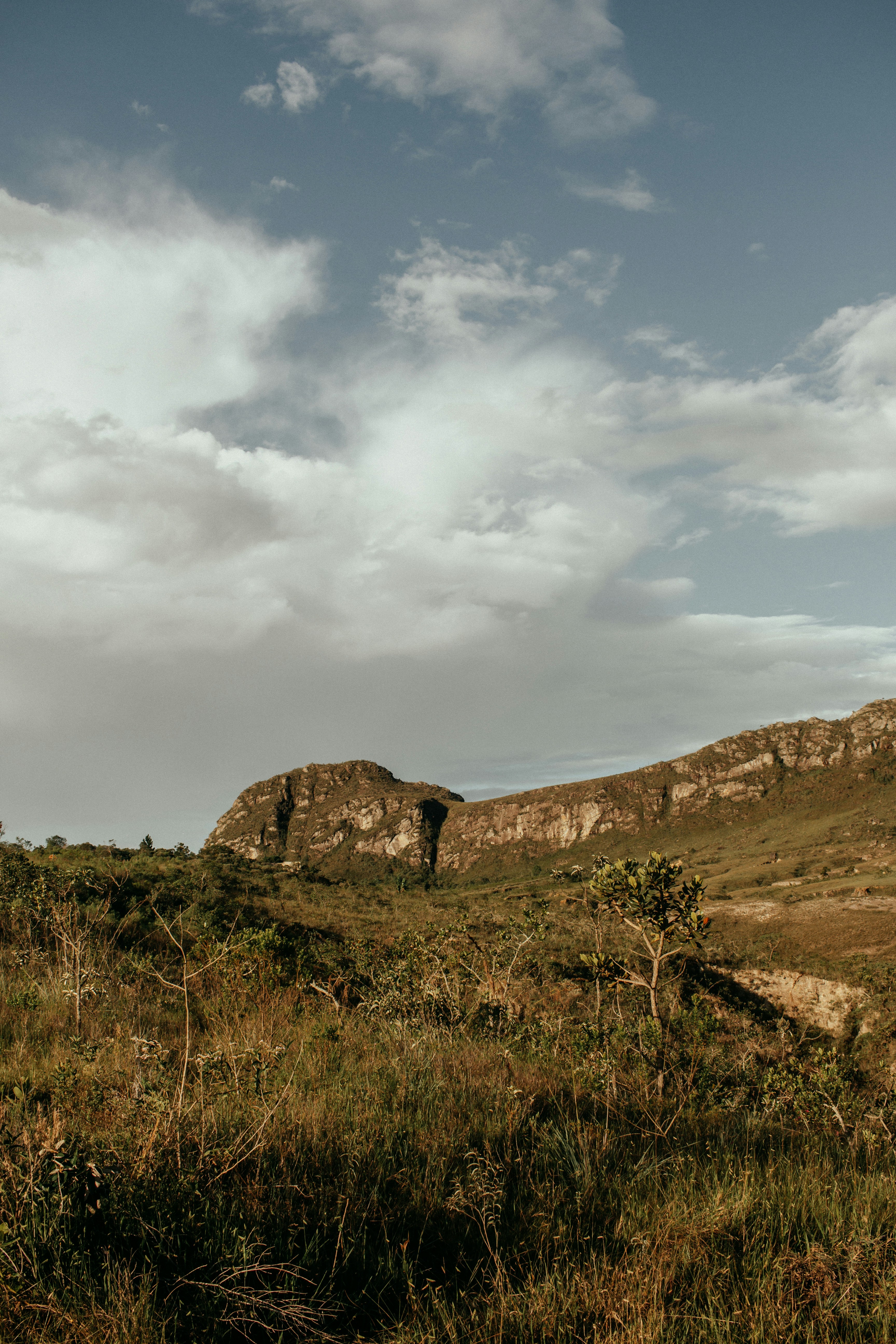 Photo by katesantosm