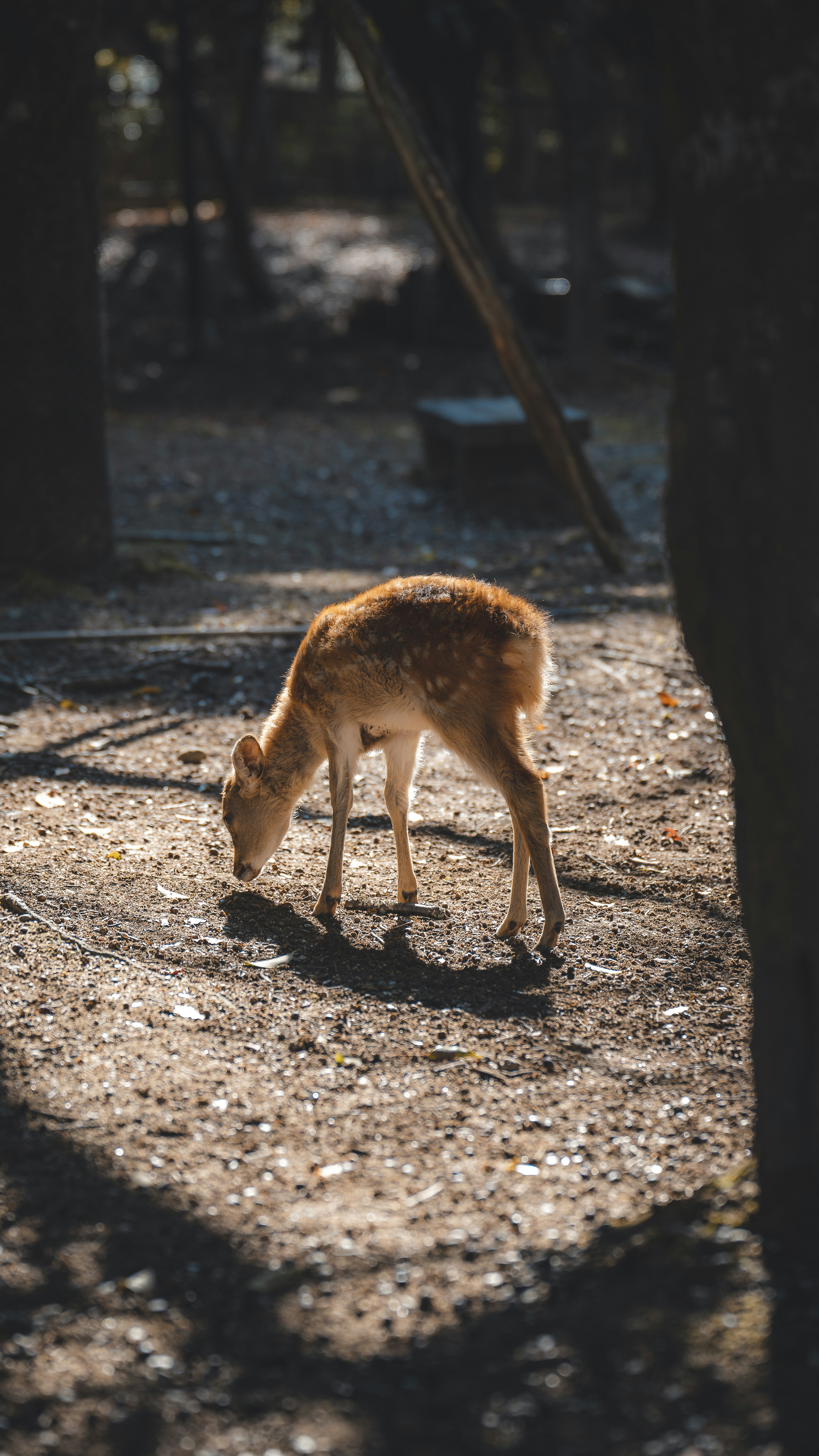 Photo by willianjusten