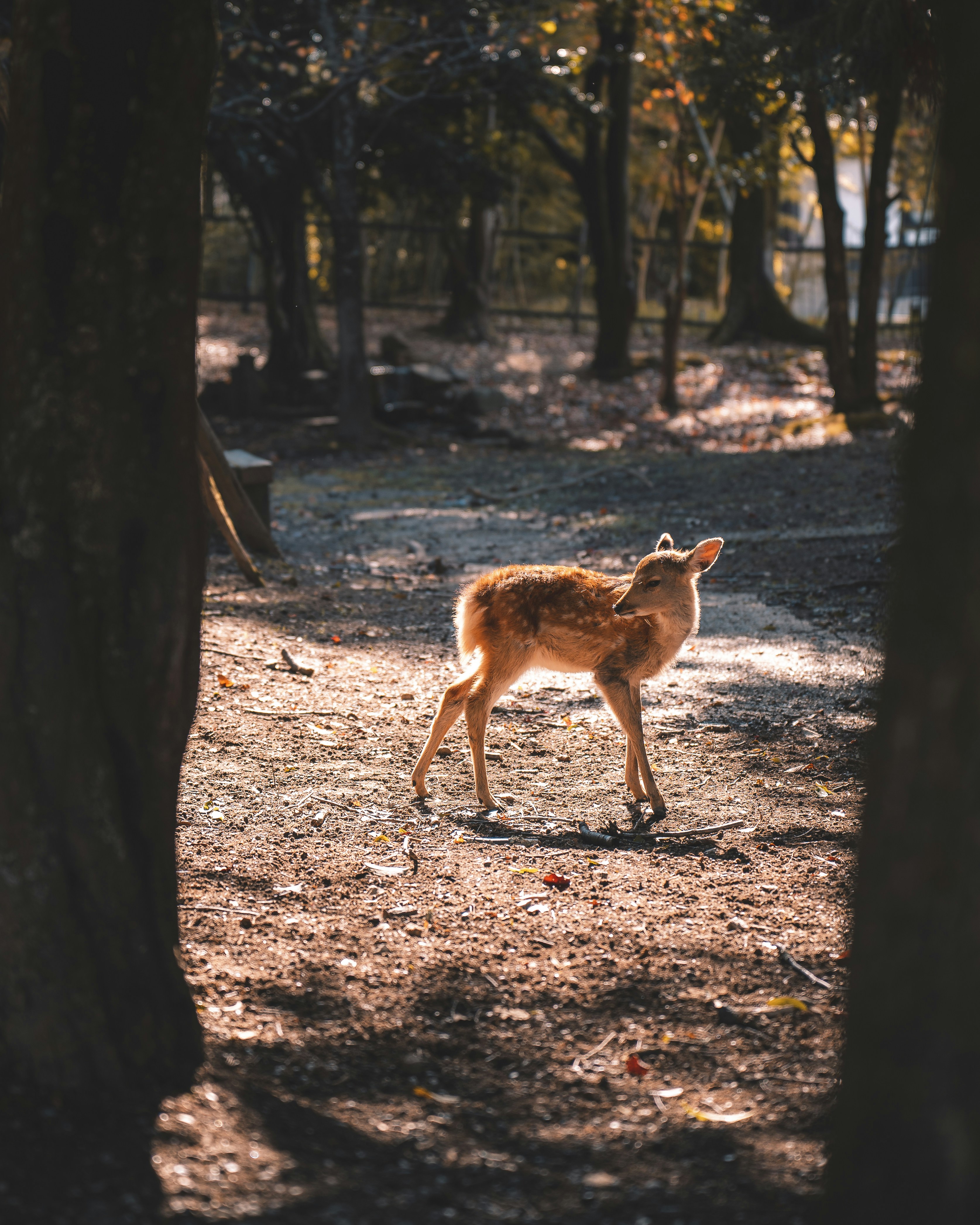 Photo by willianjusten