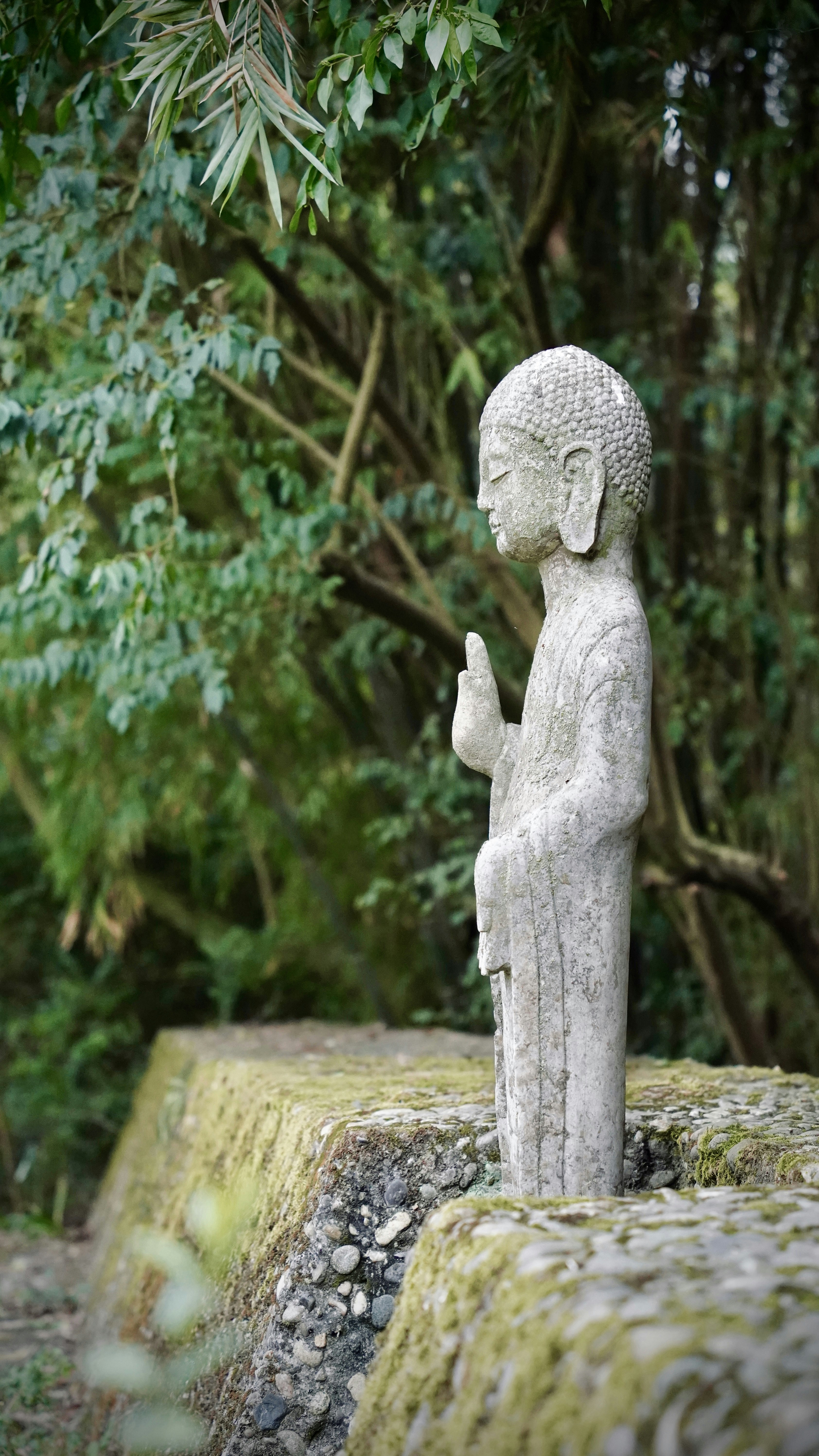 Photo by dlfornothing