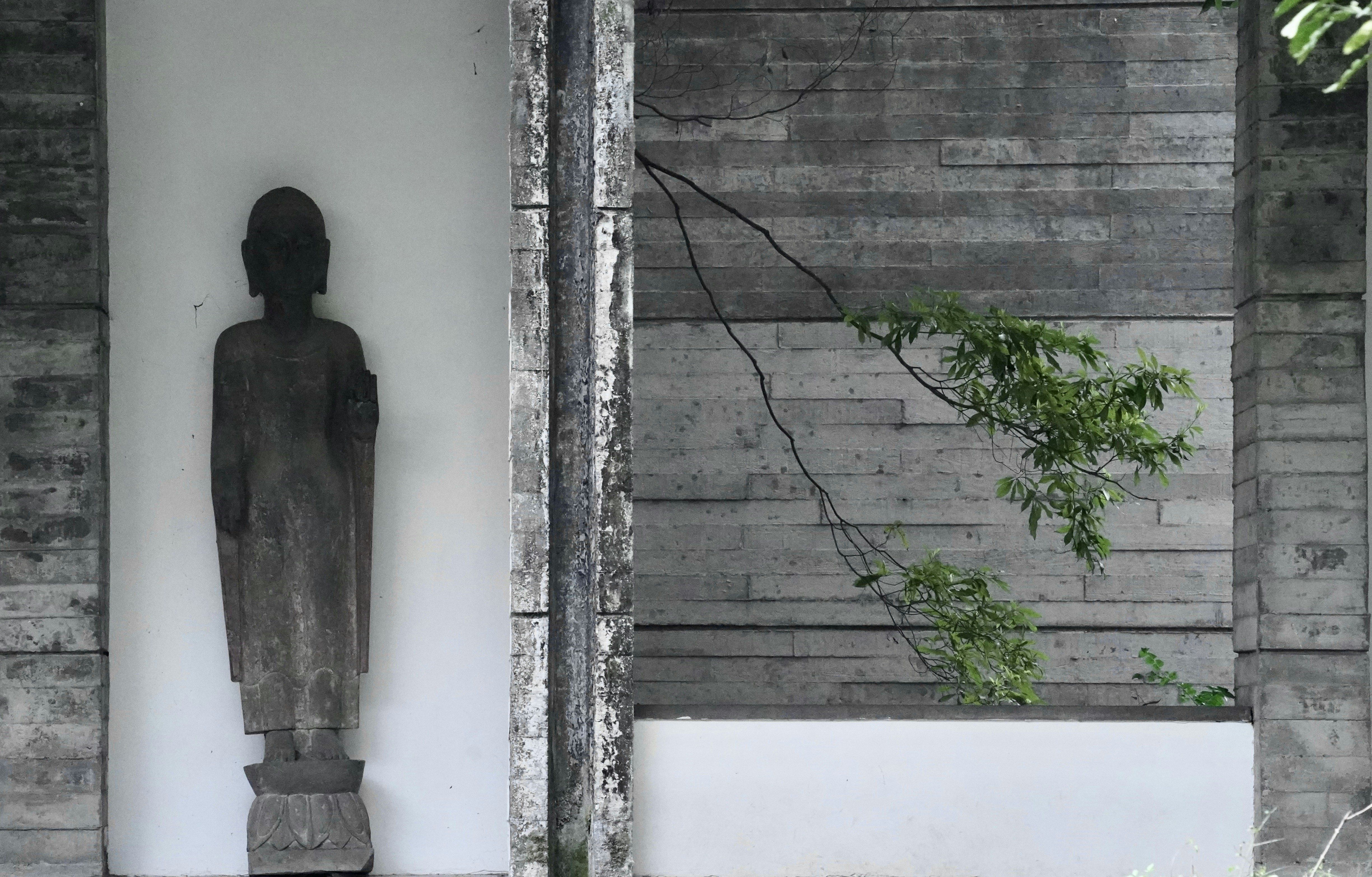 Photo by dlfornothing