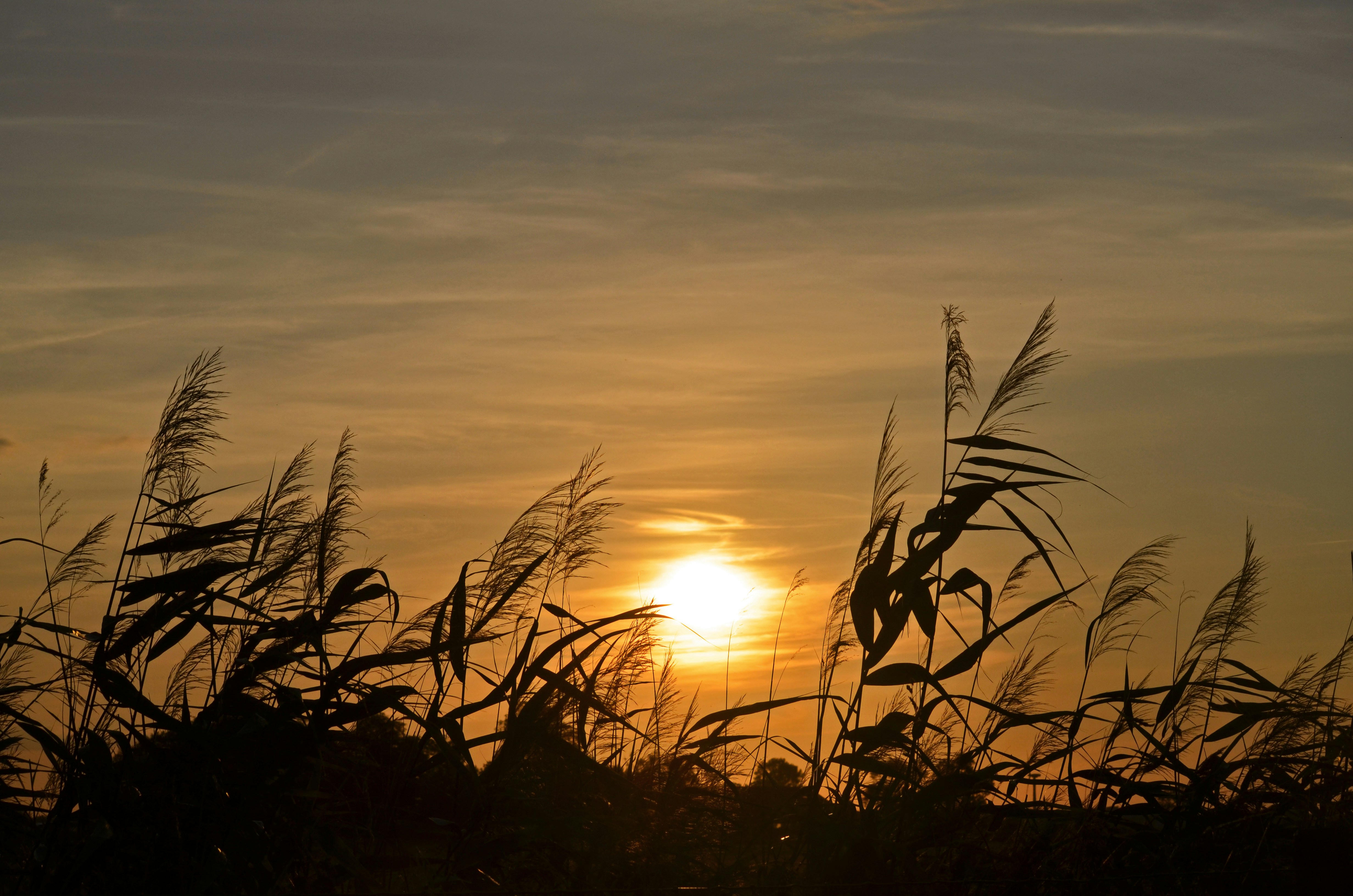 Photo by krawalliersdelikt