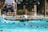 An adult swimmer receiving instruction during a lesson.