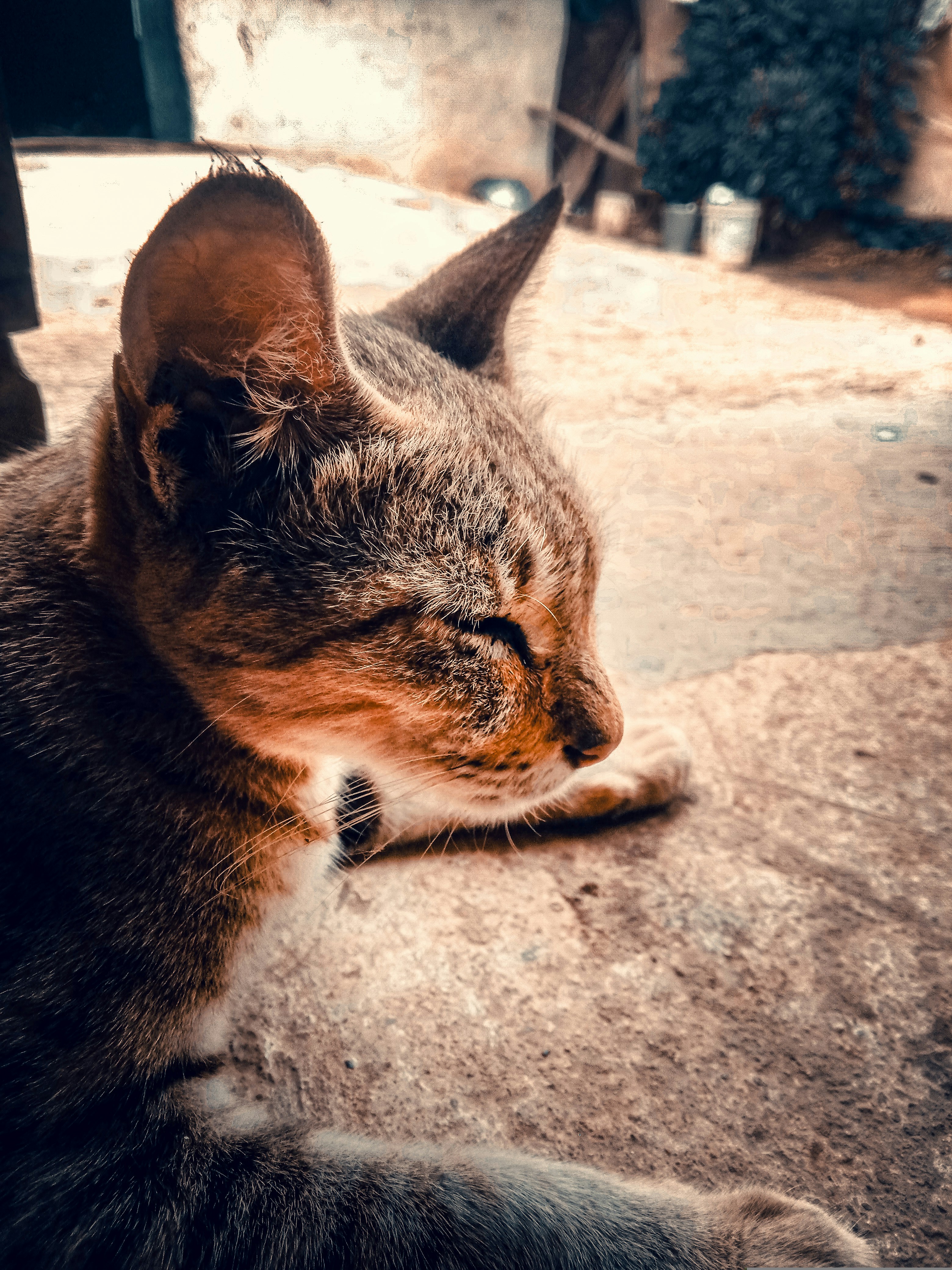 Photo by prateek_1915