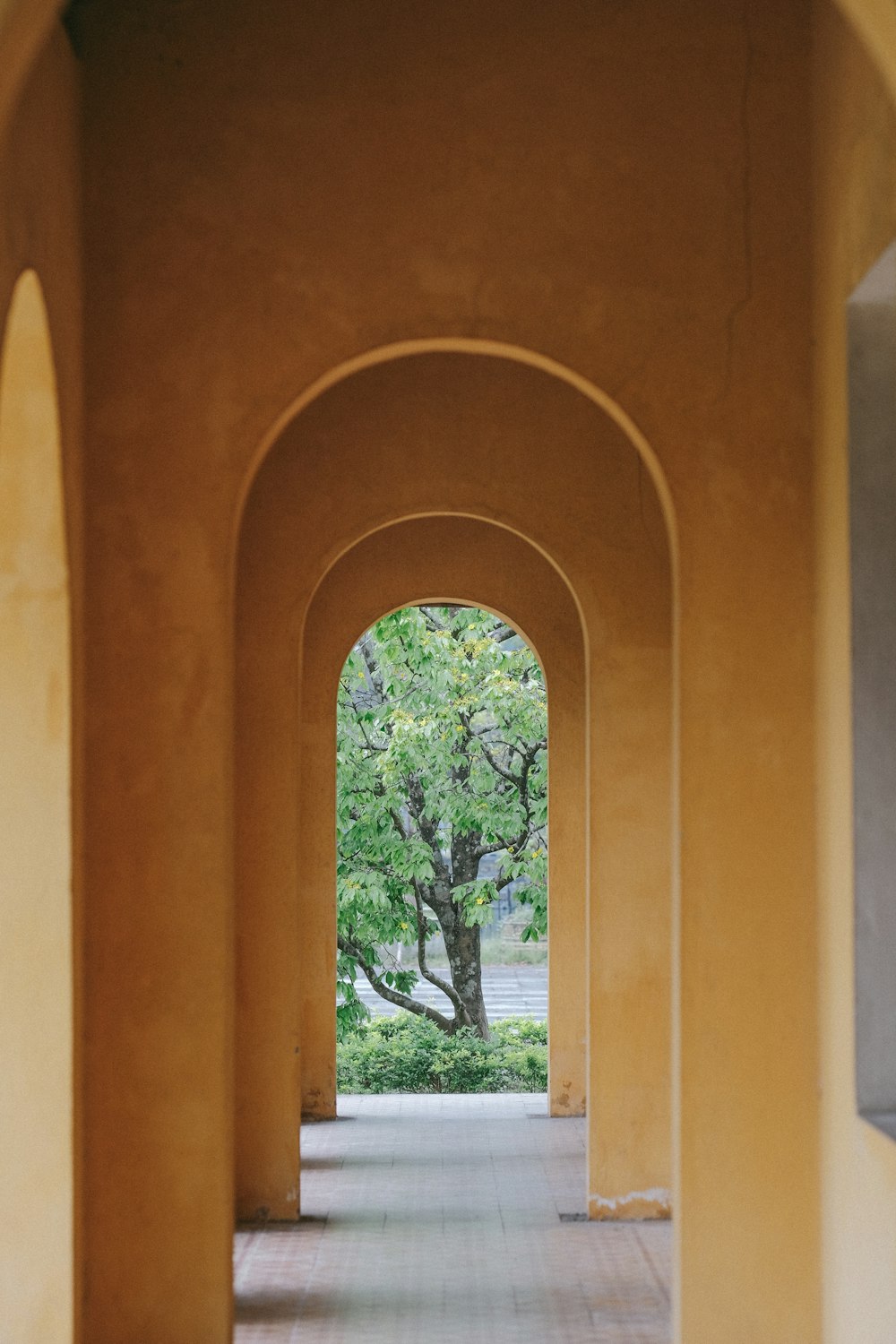 a walkway with arches and a tree in the distance