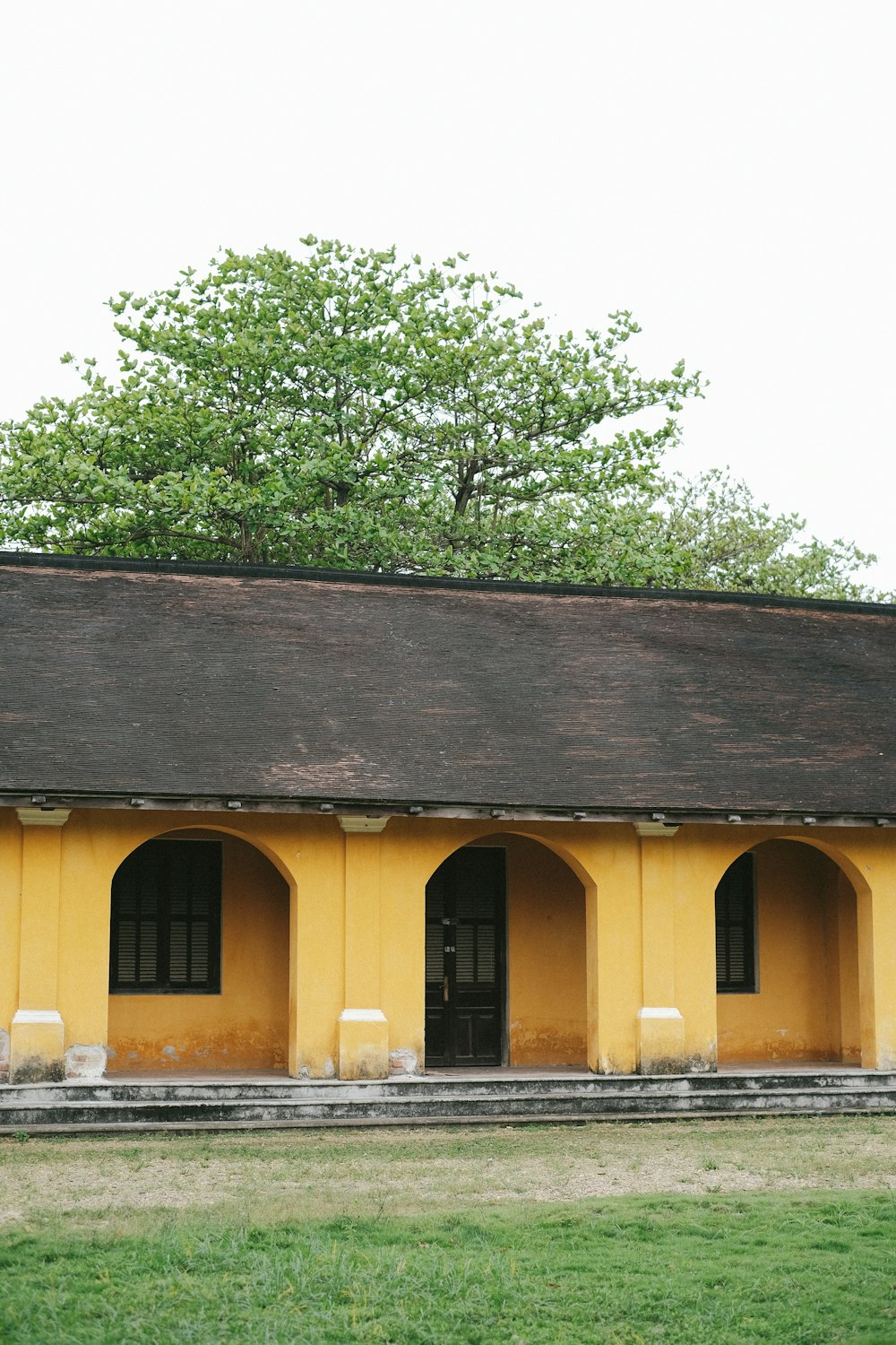 a yellow building with a tree in the background