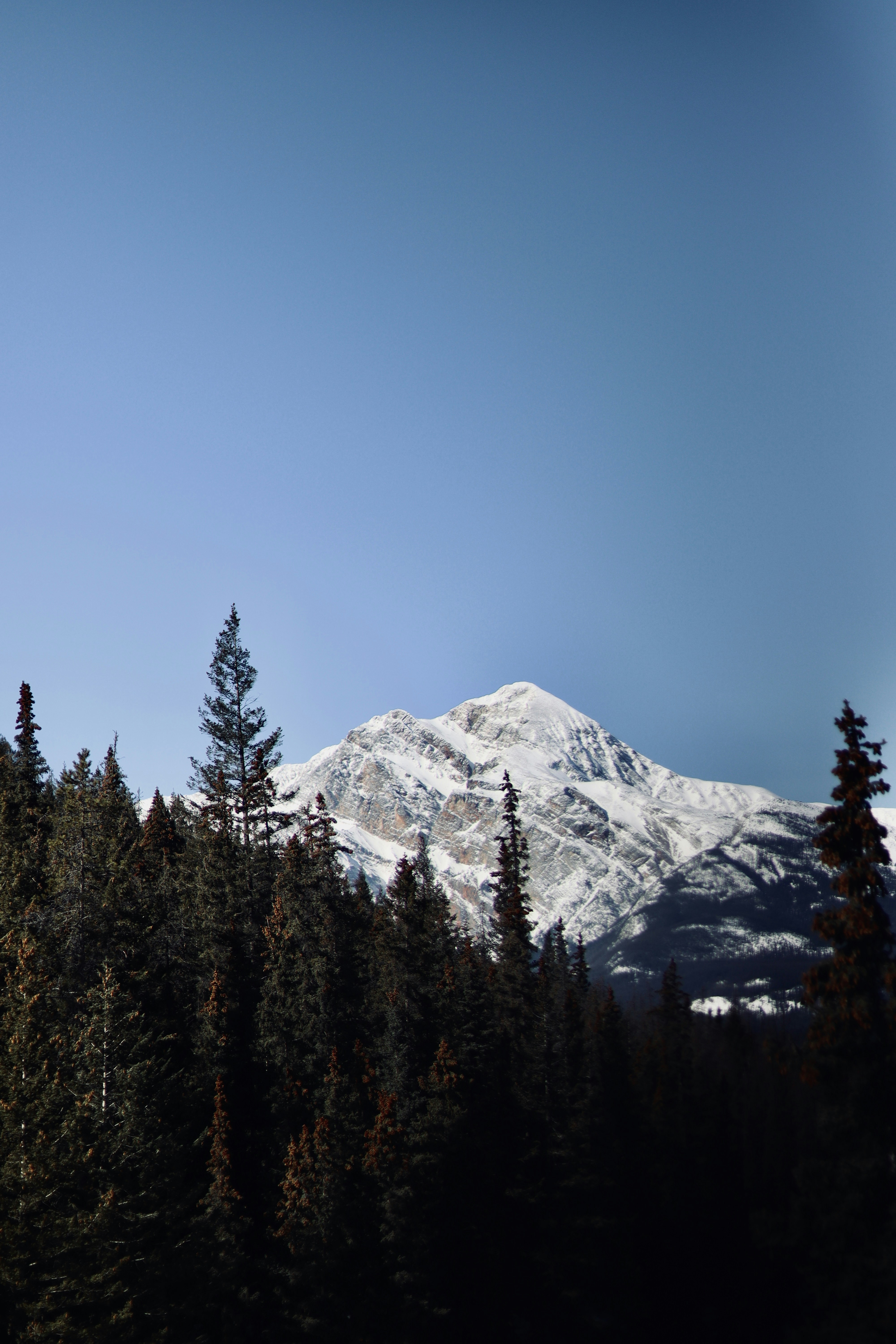 Photo by sangam_sharma