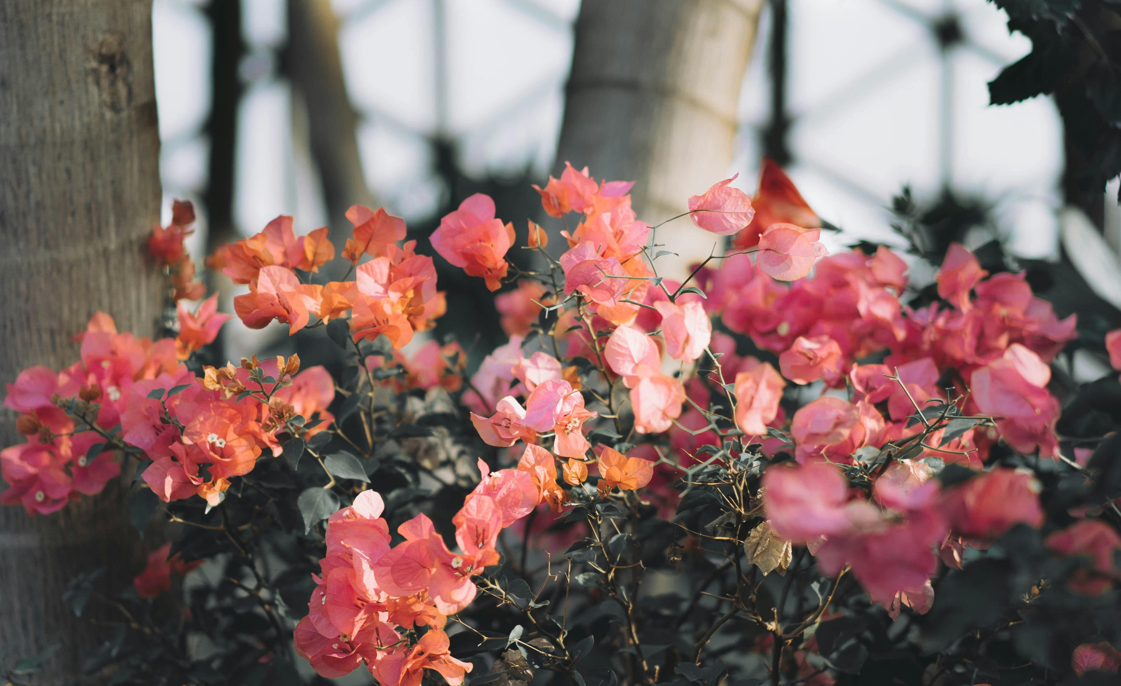 Photo by apricot_tart