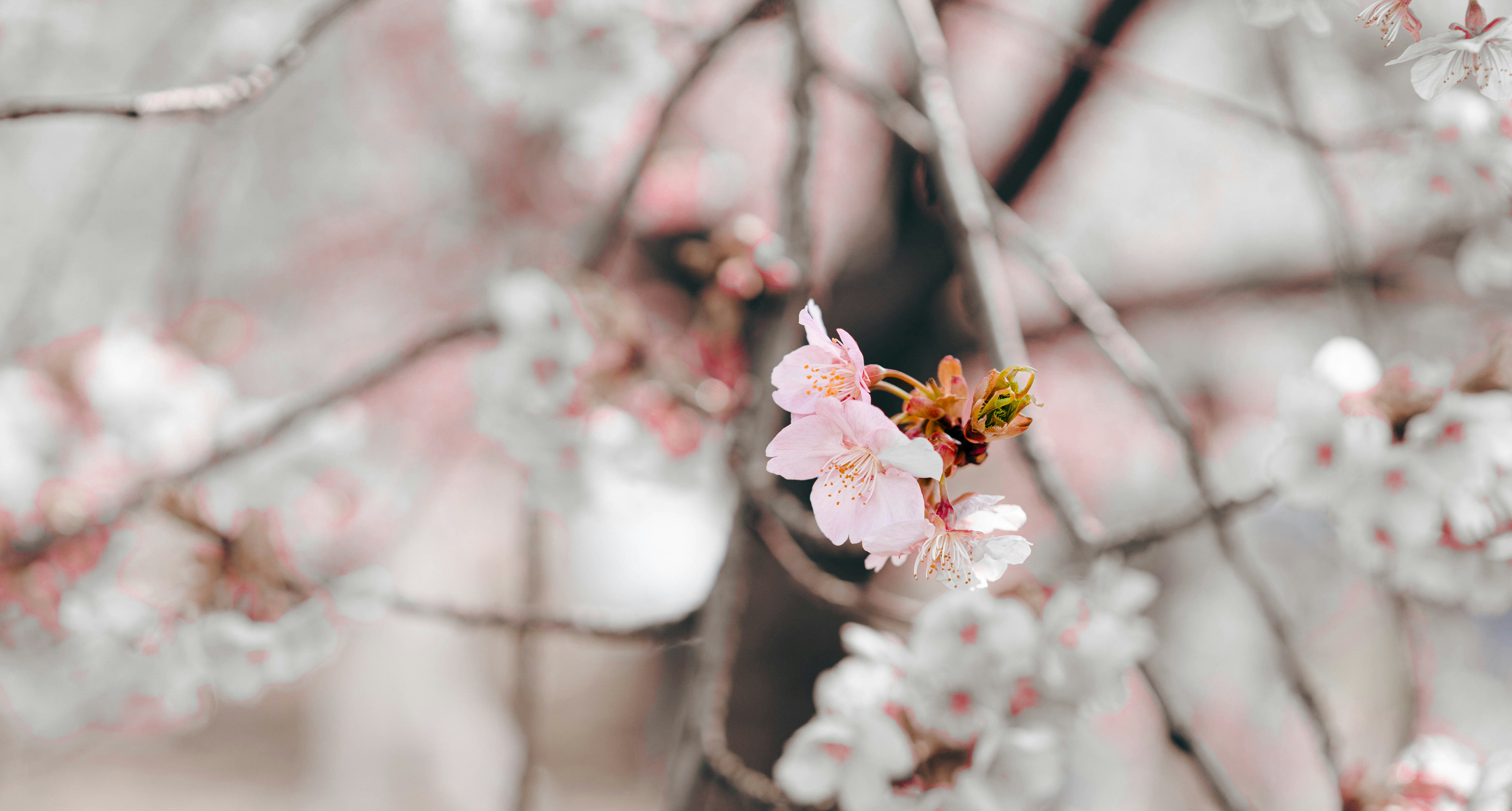 Photo by apricot_tart