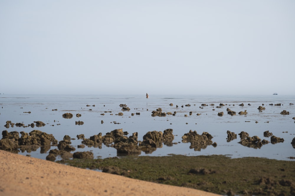 a person standing in the middle of a body of water