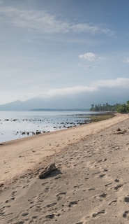 a sandy beach next to a body of water