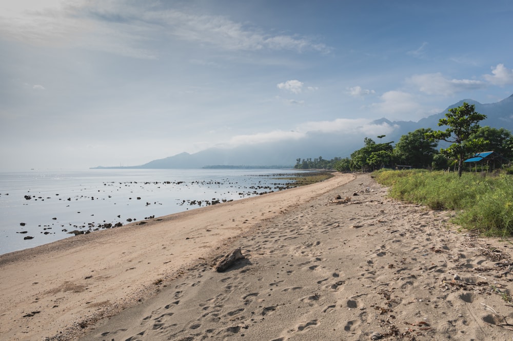 a sandy beach next to a body of water