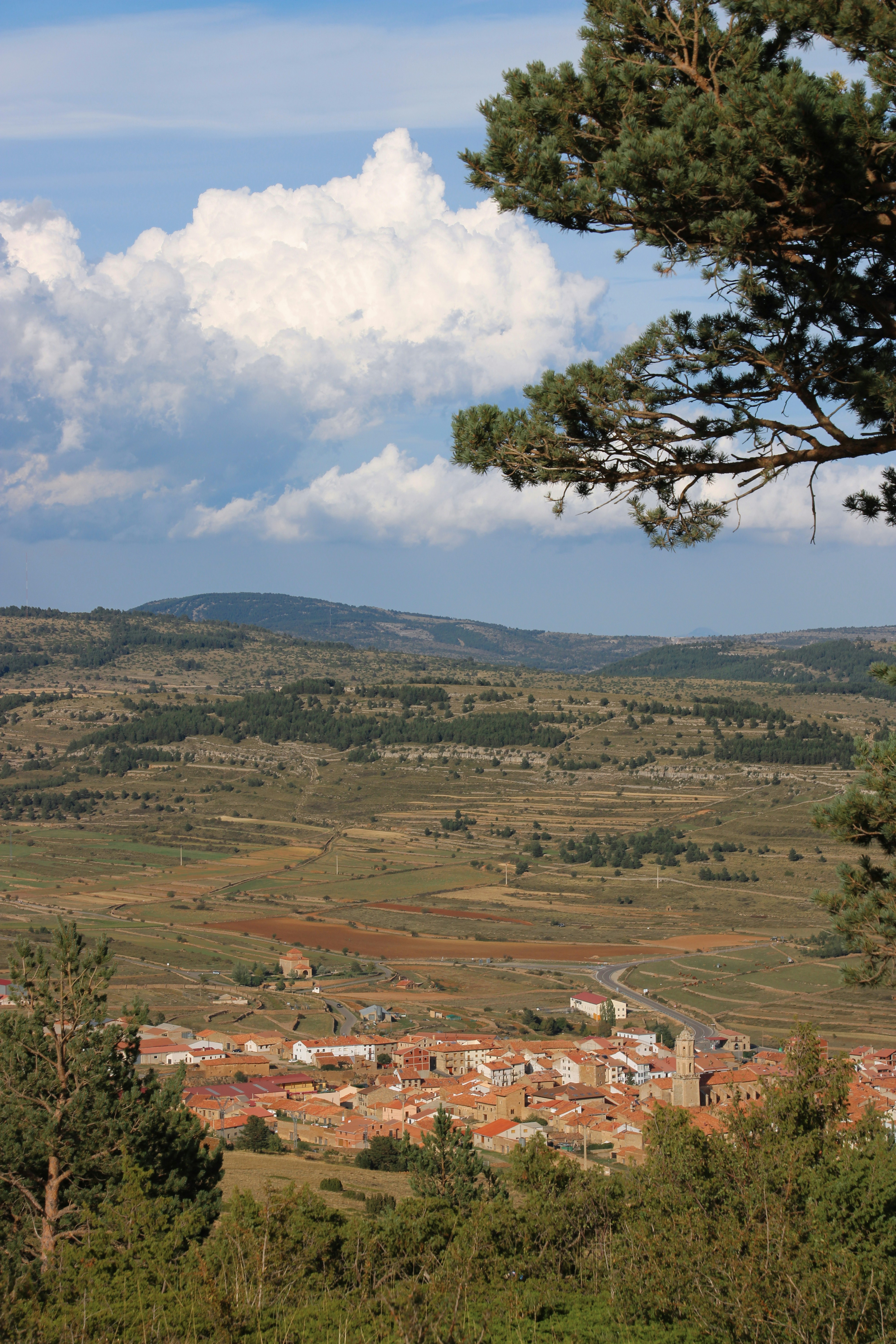 Photo by ludovico_06