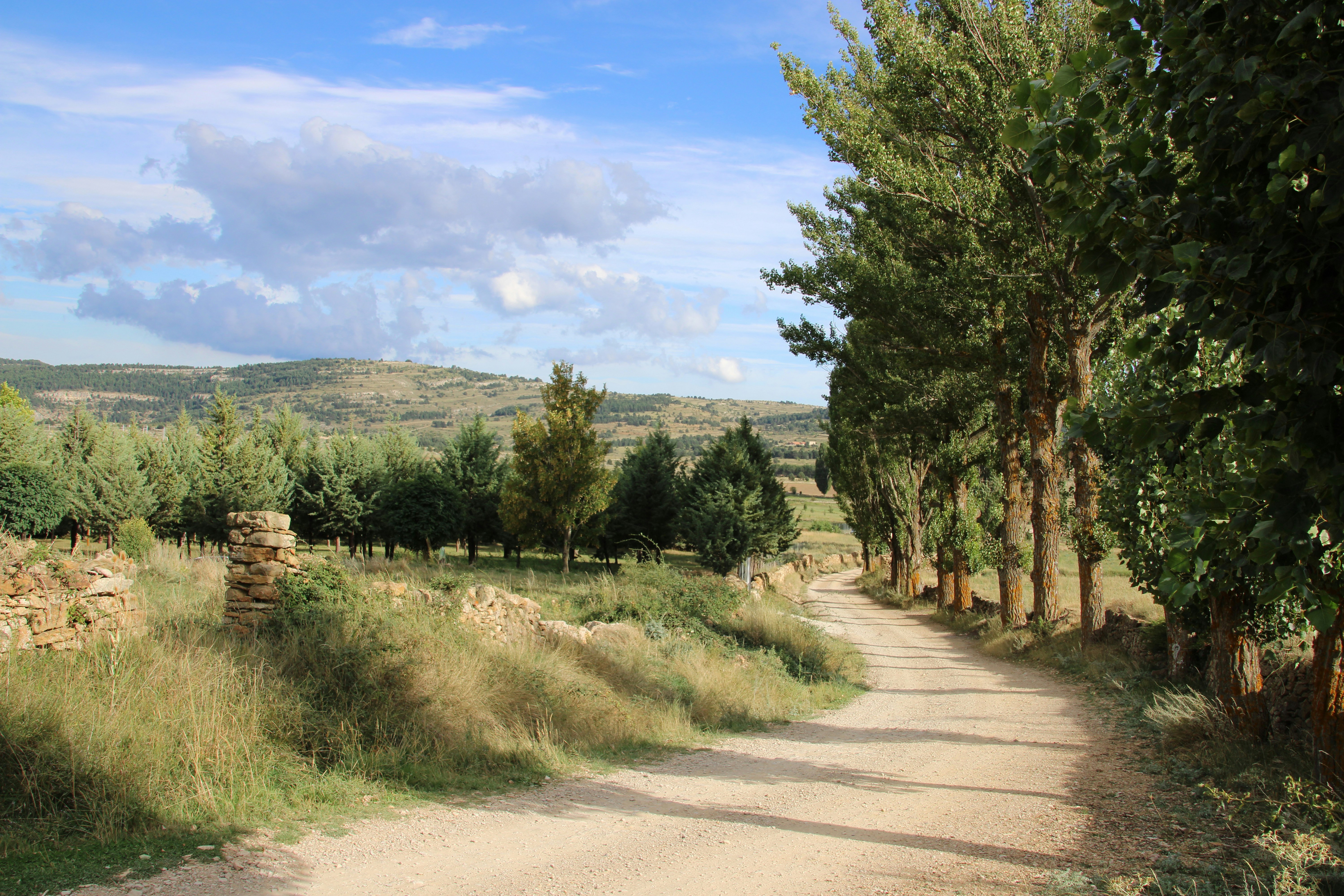 Photo by ludovico_06