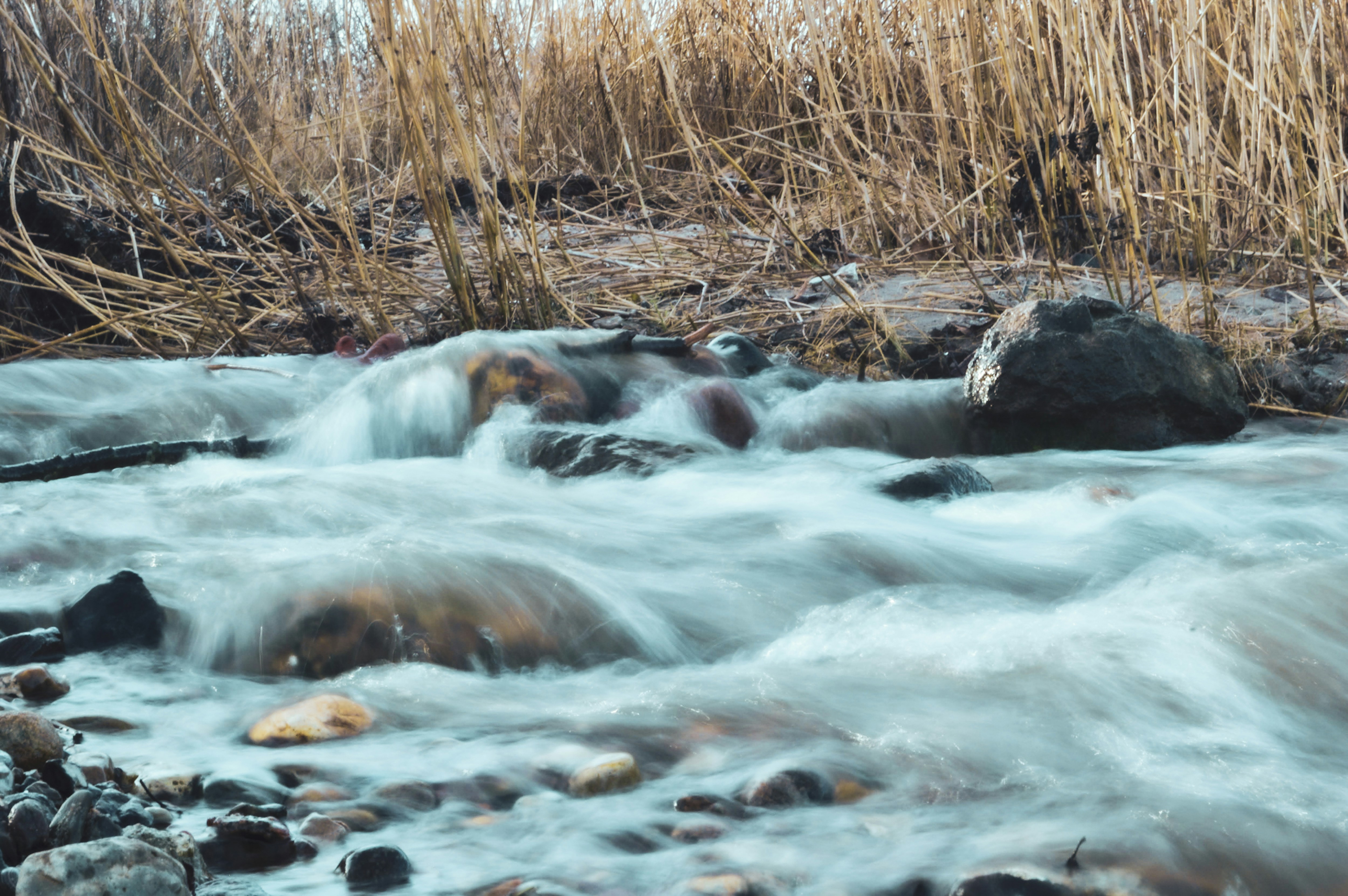 Photo by magnusmandrup