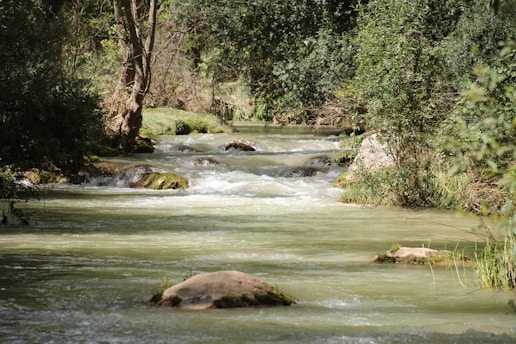 A serene landscape of Eureka Springs with lush greenery and a tranquil river flowing through it.