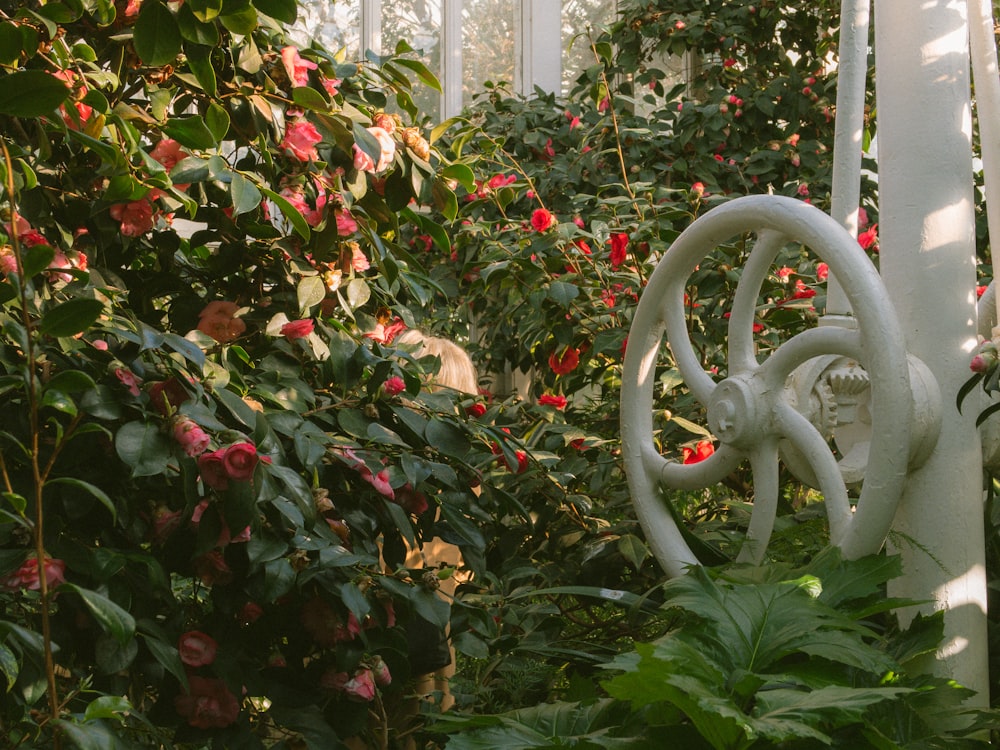 a garden filled with lots of different types of flowers