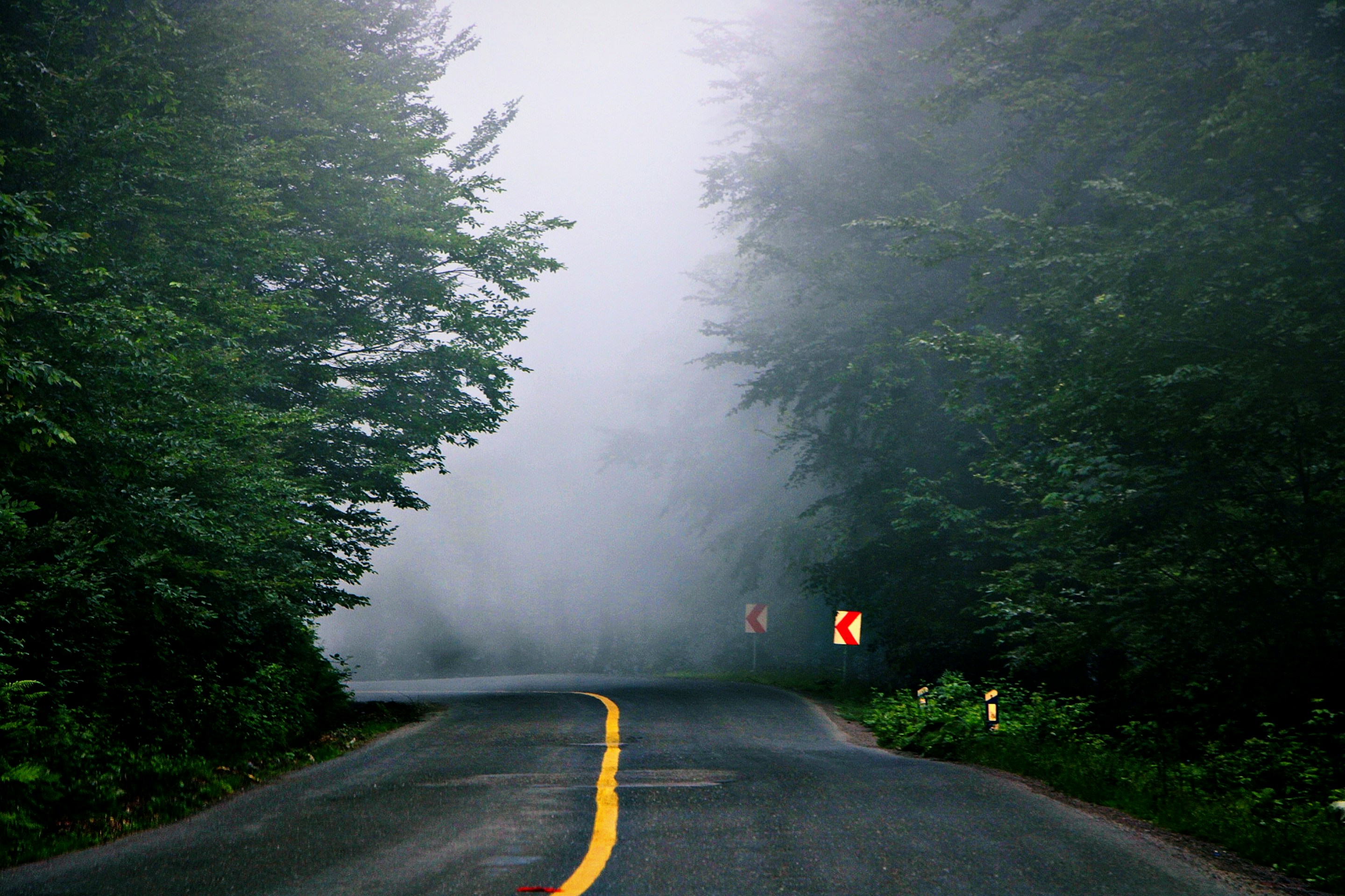 Photo by hesan_ajdadi