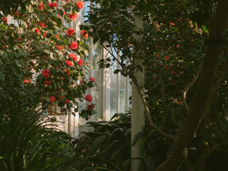A beautifully designed garden corner featuring lush green plants and colorful flowers under soft natural light.