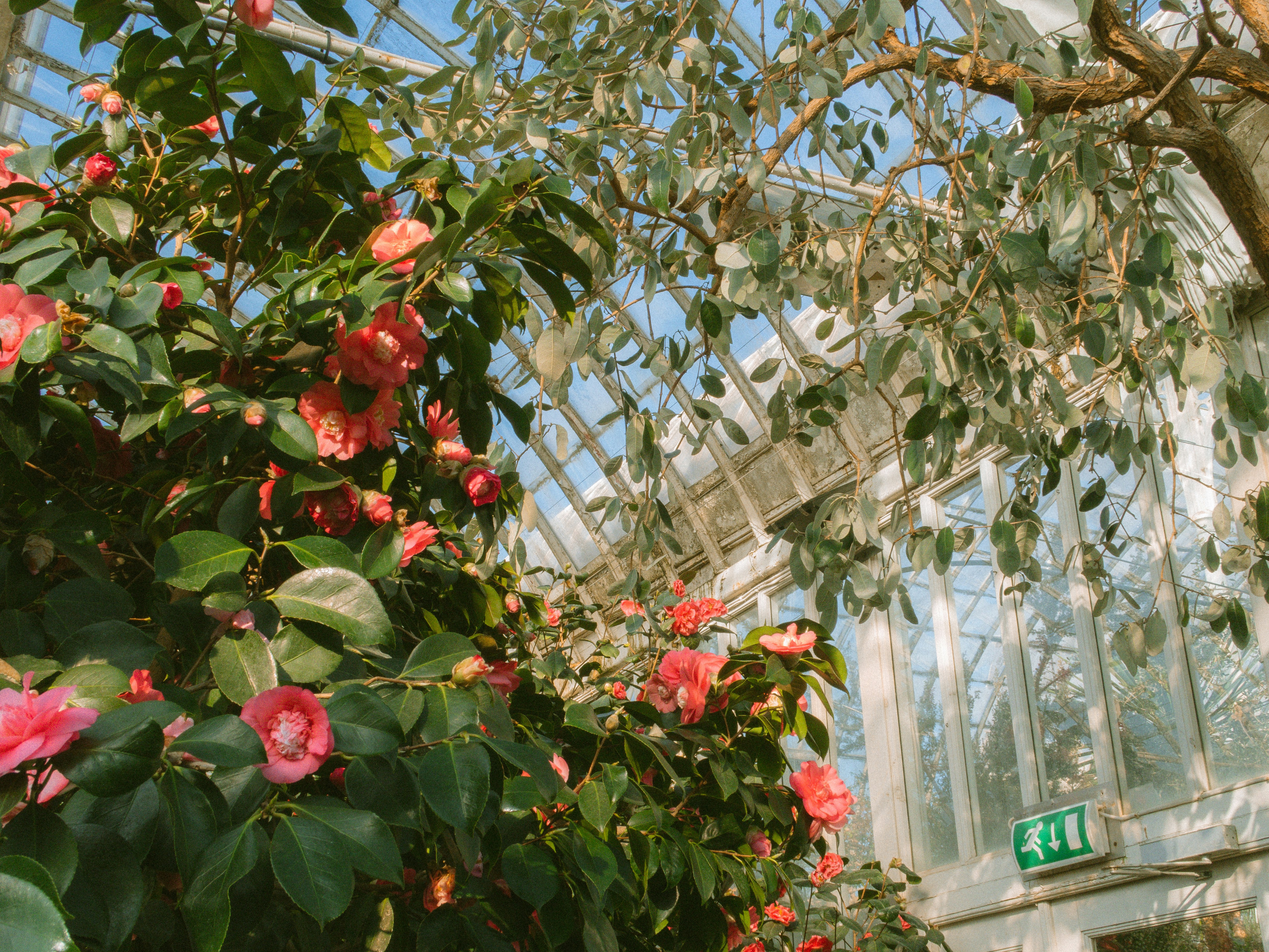 Photo by seenthroughmpk