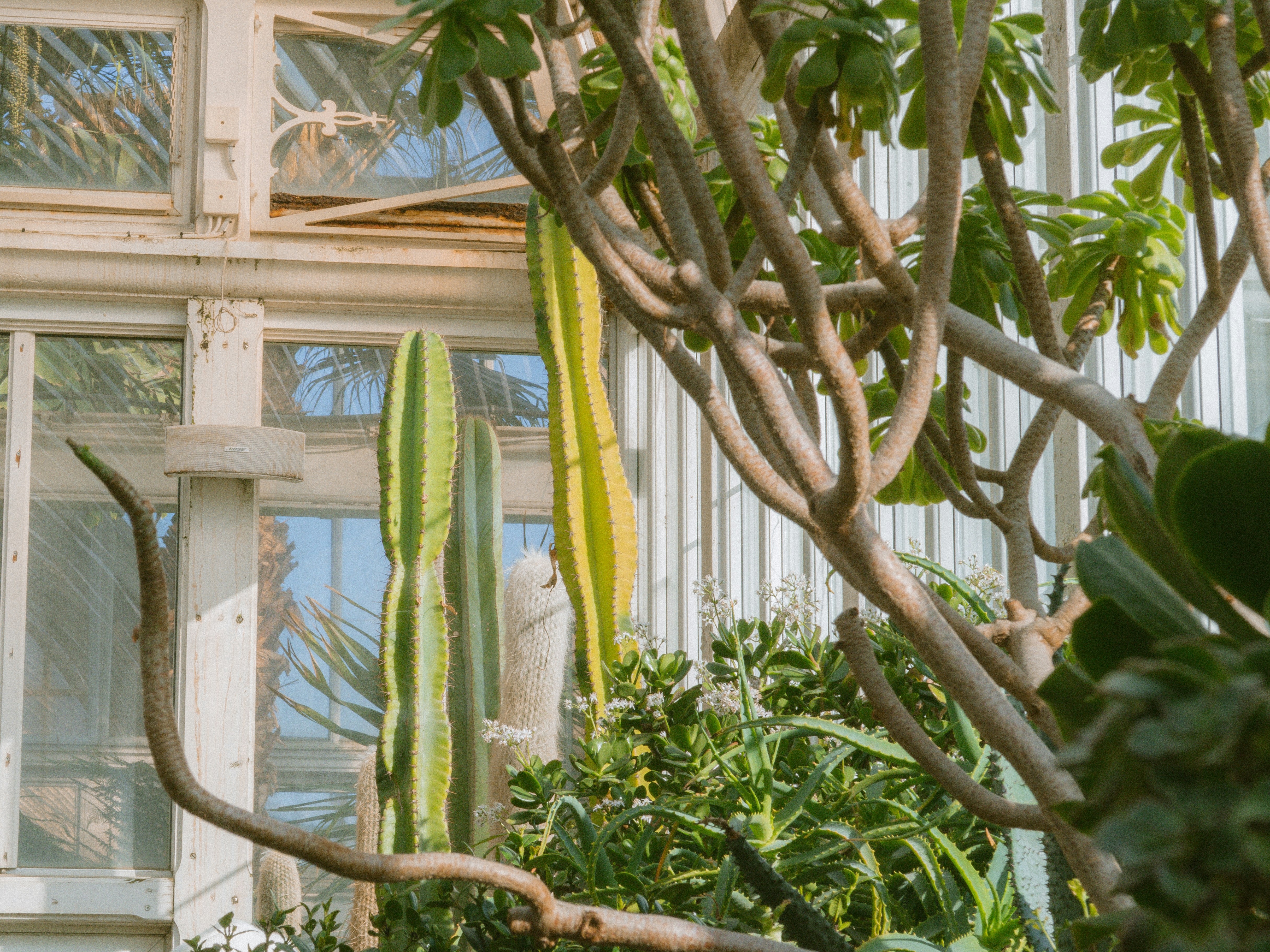 Photo by seenthroughmpk