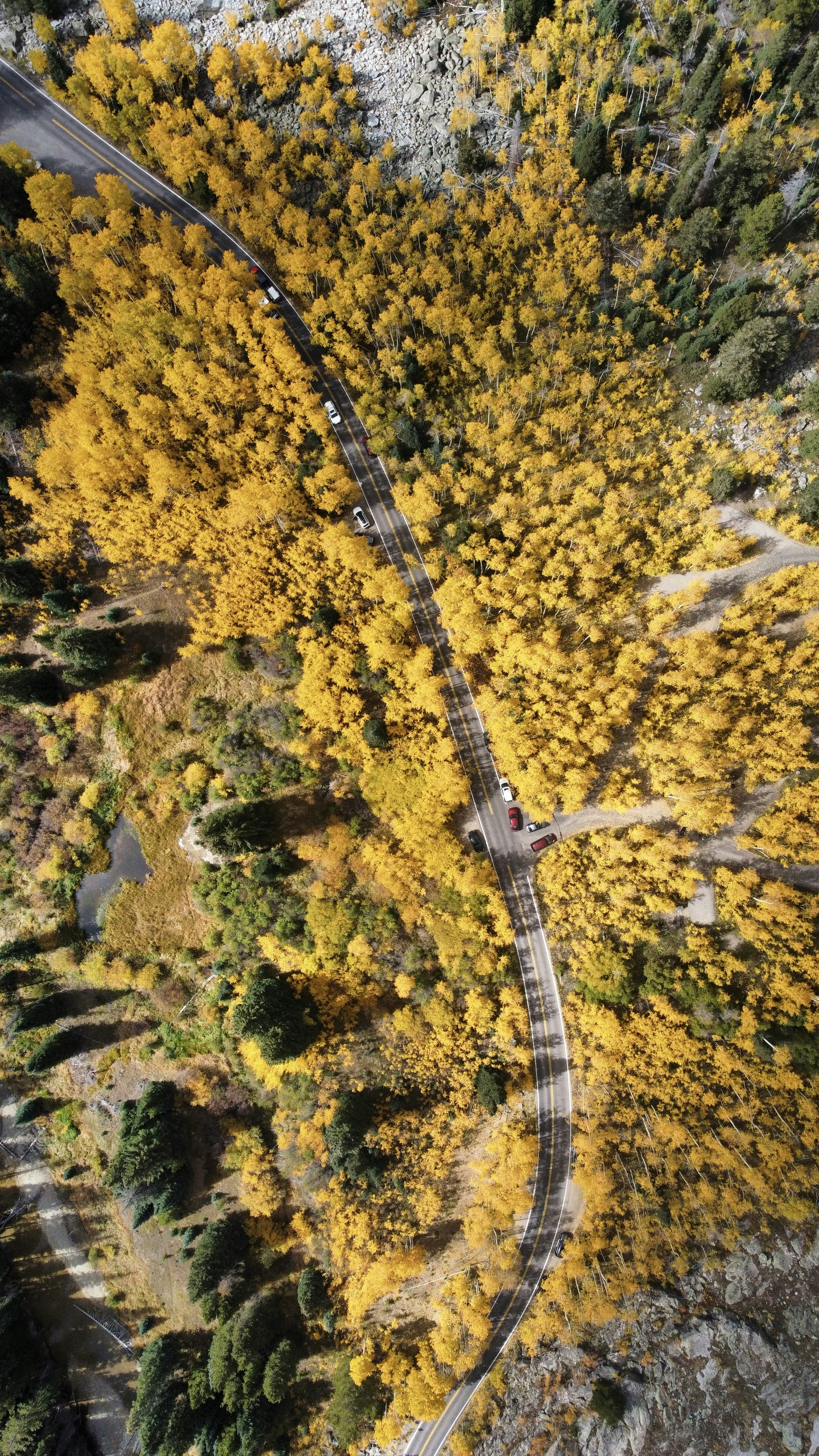 an aerial view of a road surrounded by trees