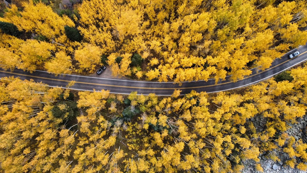 an aerial view of a road surrounded by yellow trees