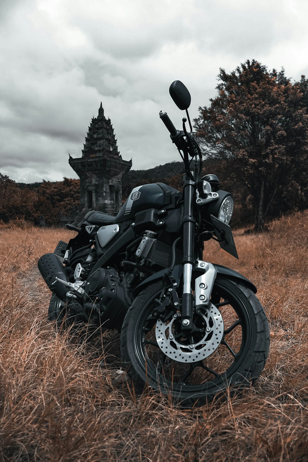 a motorcycle parked in a field of tall grass