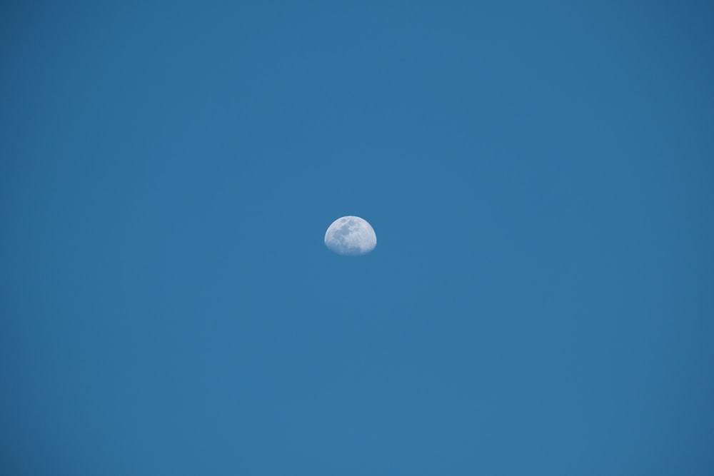 the moon is visible in the blue sky