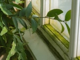 a window sill with a green plant in front of it