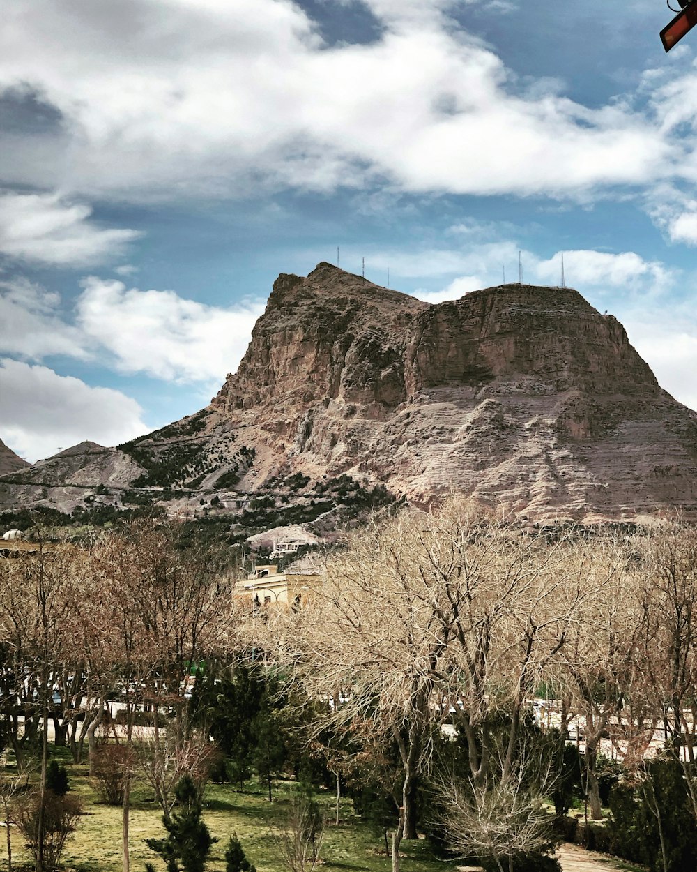 a view of a mountain with trees in the foreground