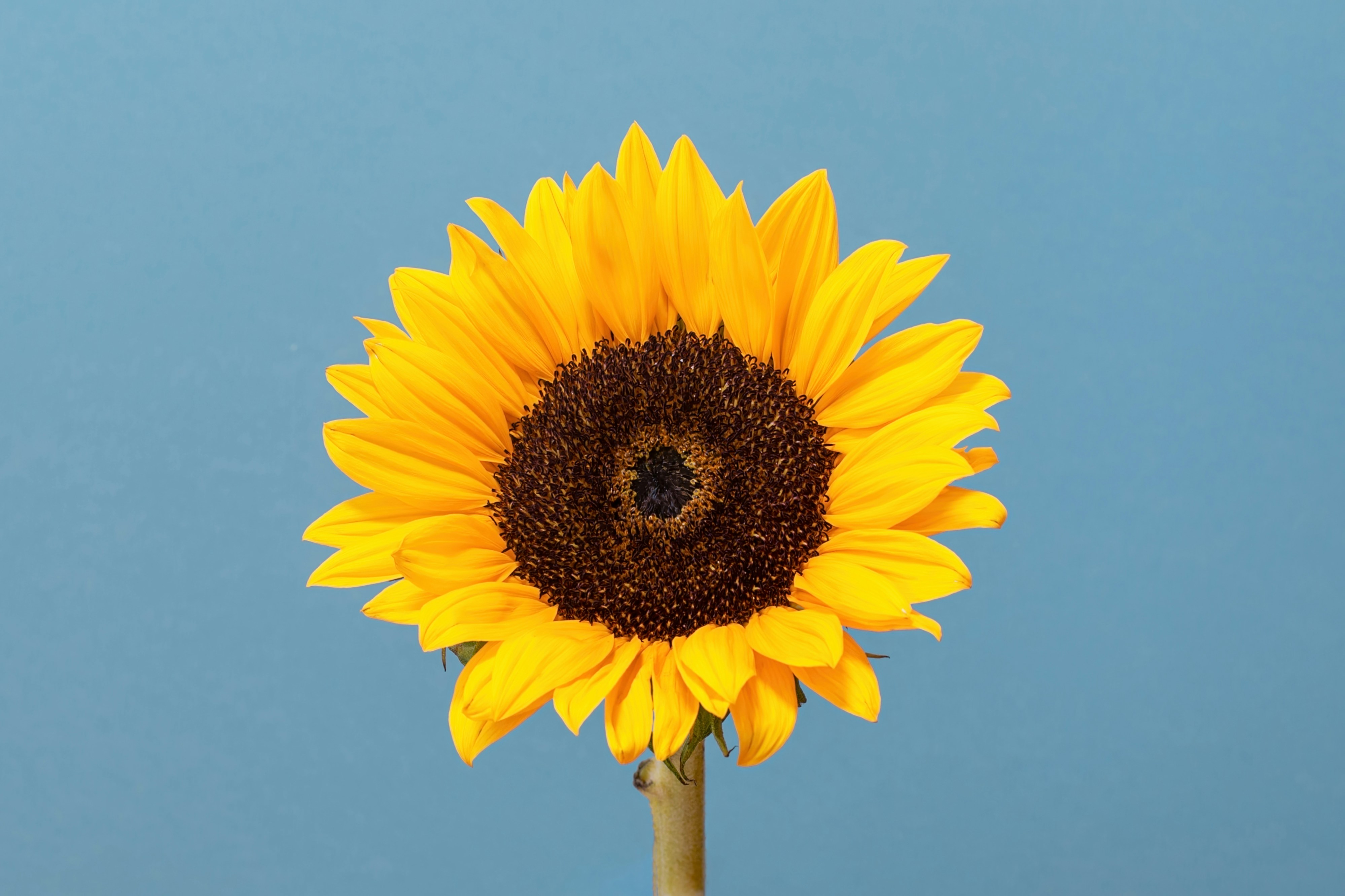 Photo by nataliekinnear