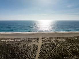 A tranquil beach scene with waves gently lapping against the shore. A vast expanse of sand stretches along the coastline, with patches of vegetation in the foreground. The sun glimmers off the surface of the blue ocean, creating a serene and peaceful atmosphere.