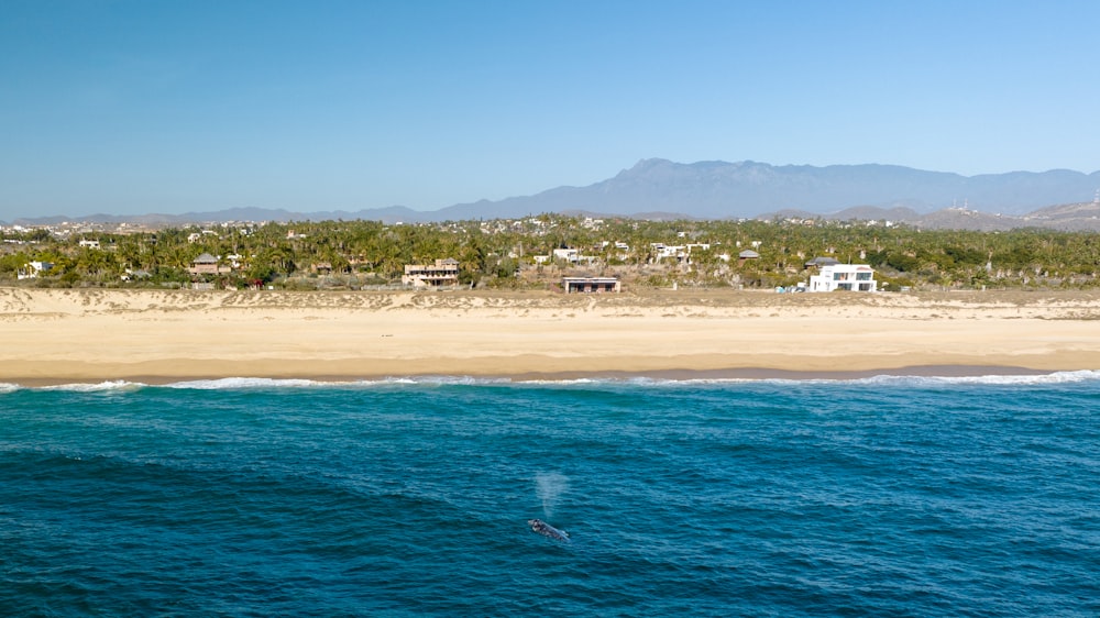 a view of a beach from the water