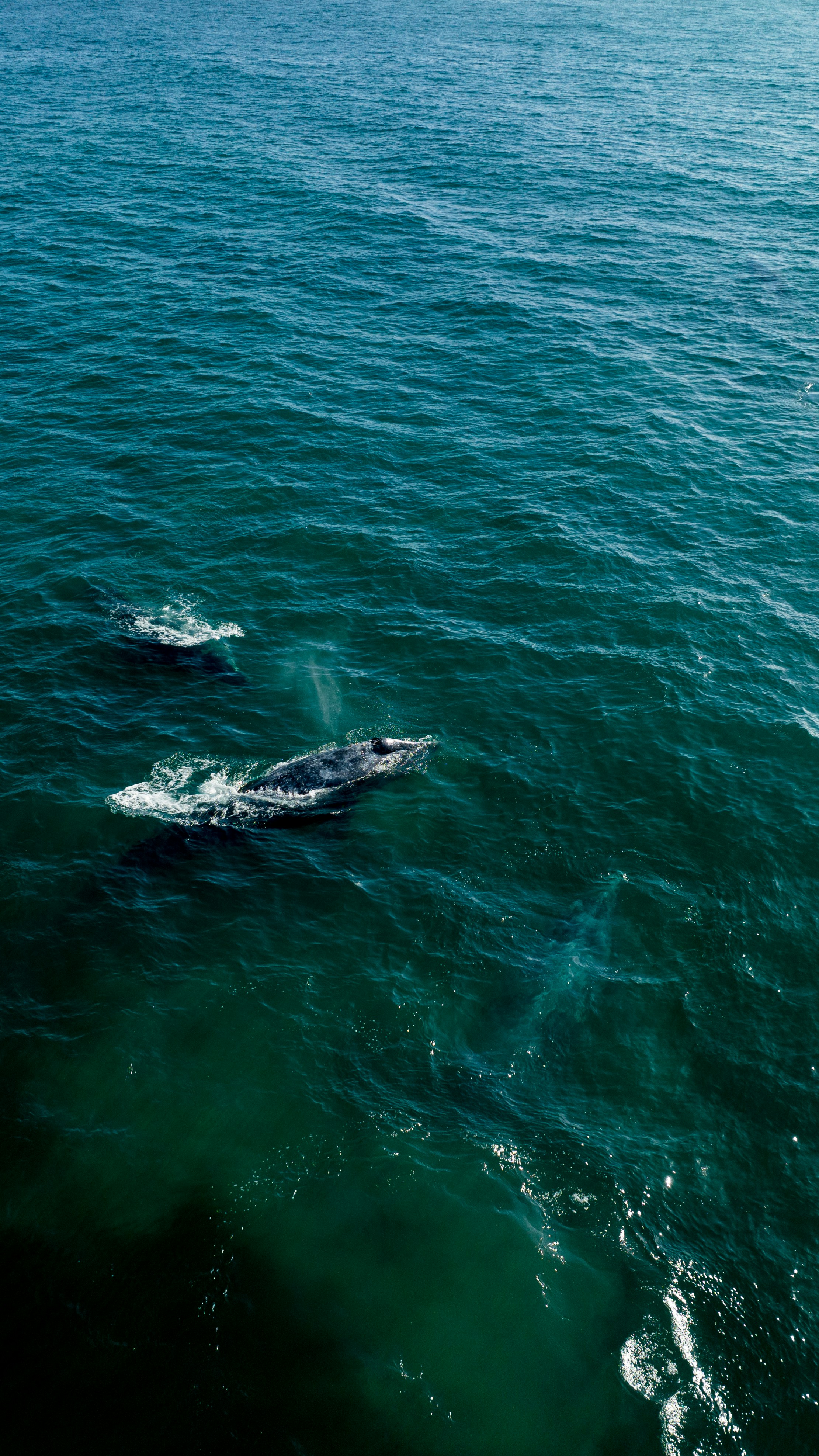 Photo by joshwithers