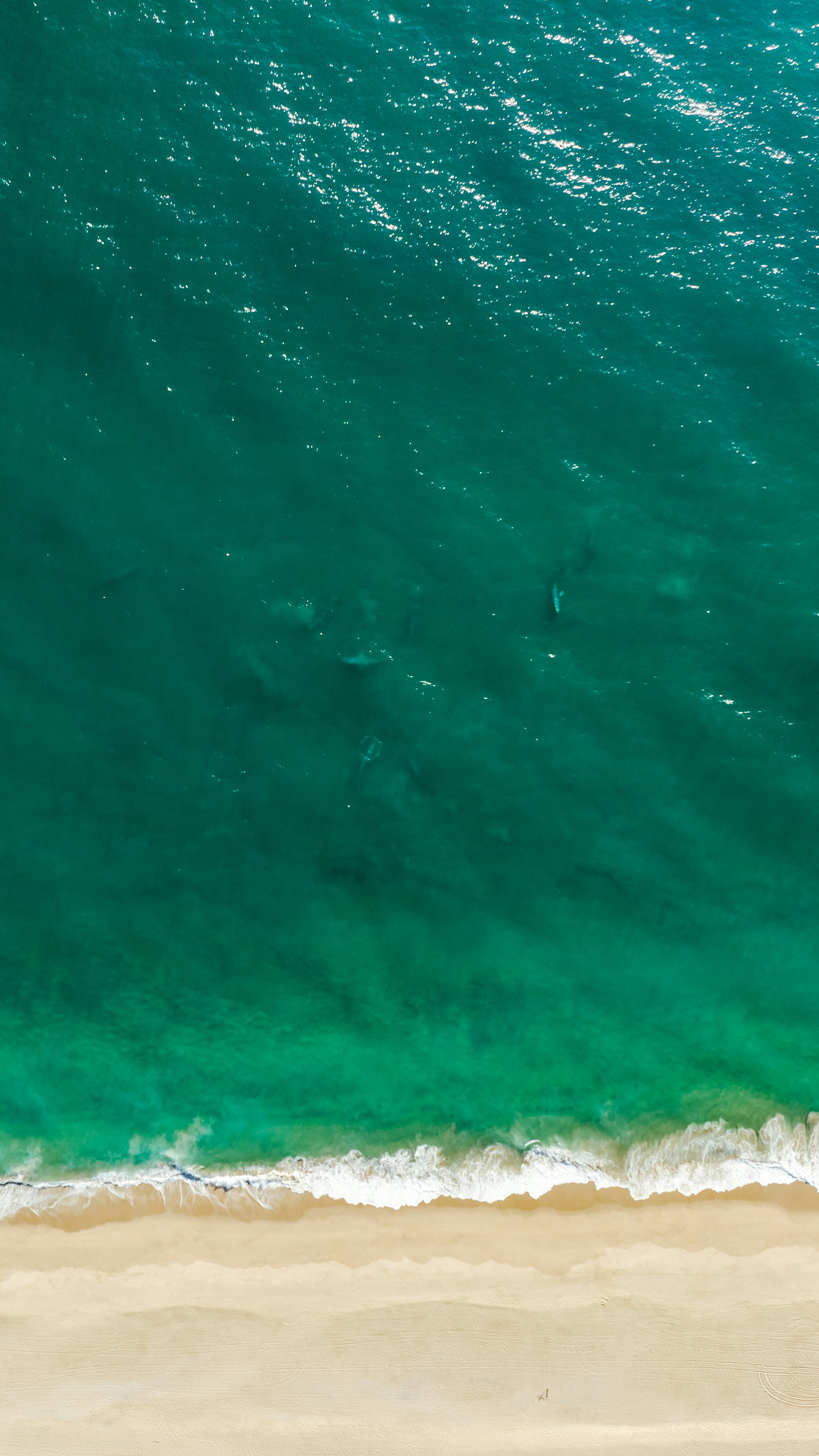 Photo by joshwithers