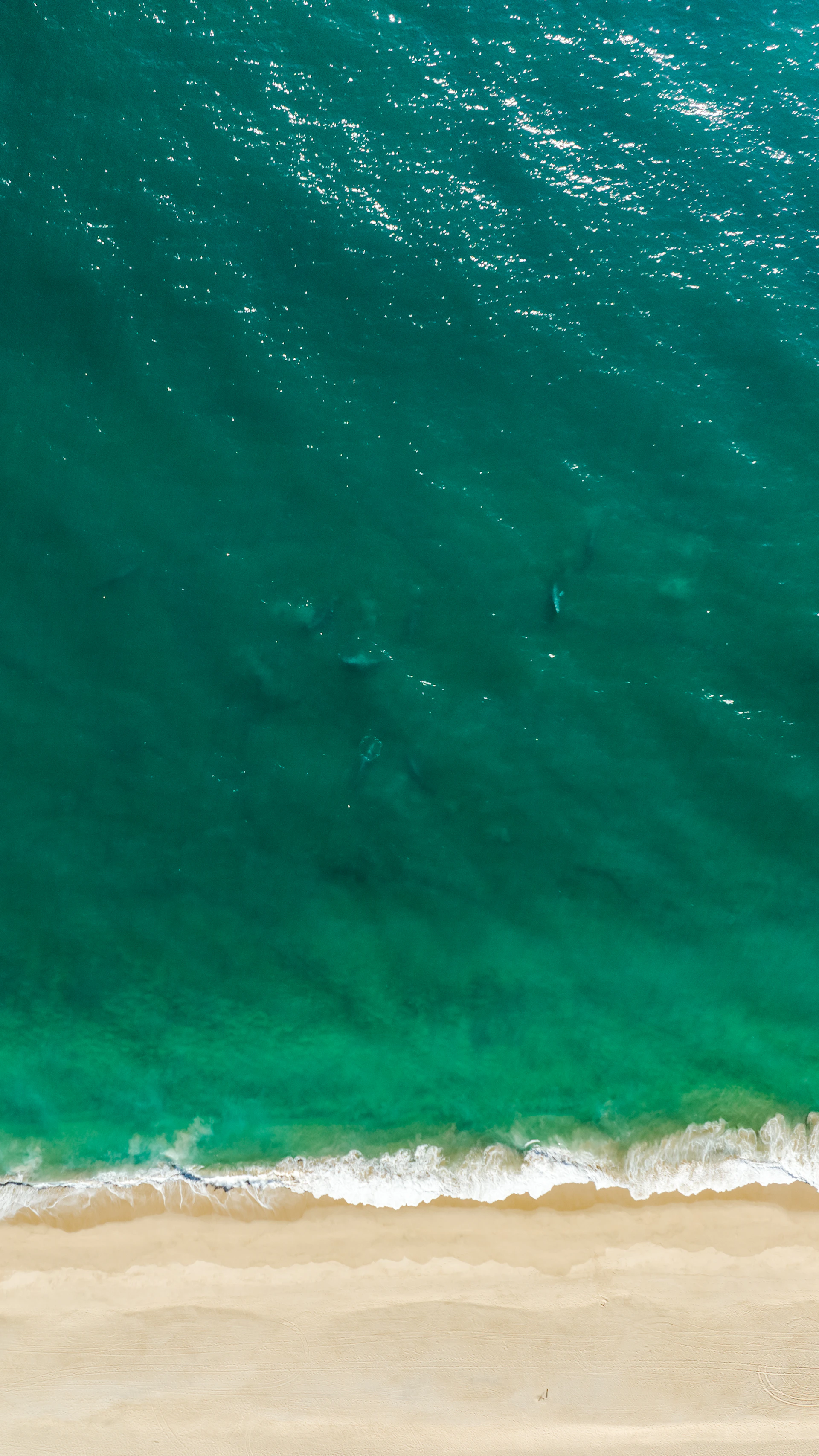 an aerial view of a beach and ocean