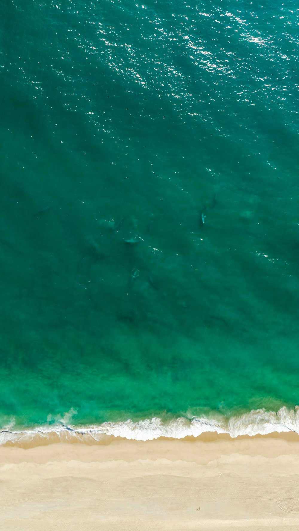 Una vista aérea de una playa y el océano