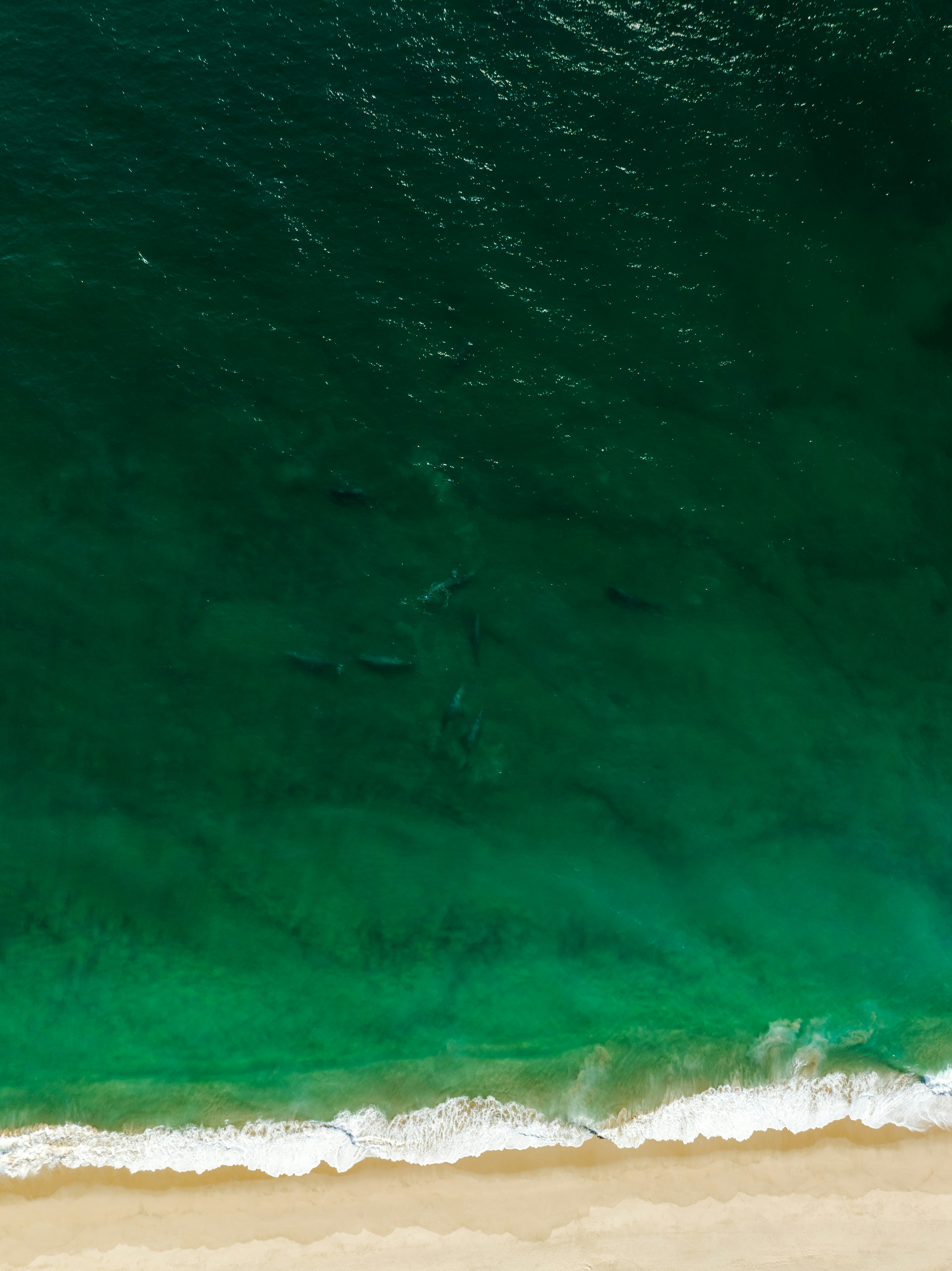 Photo by joshwithers